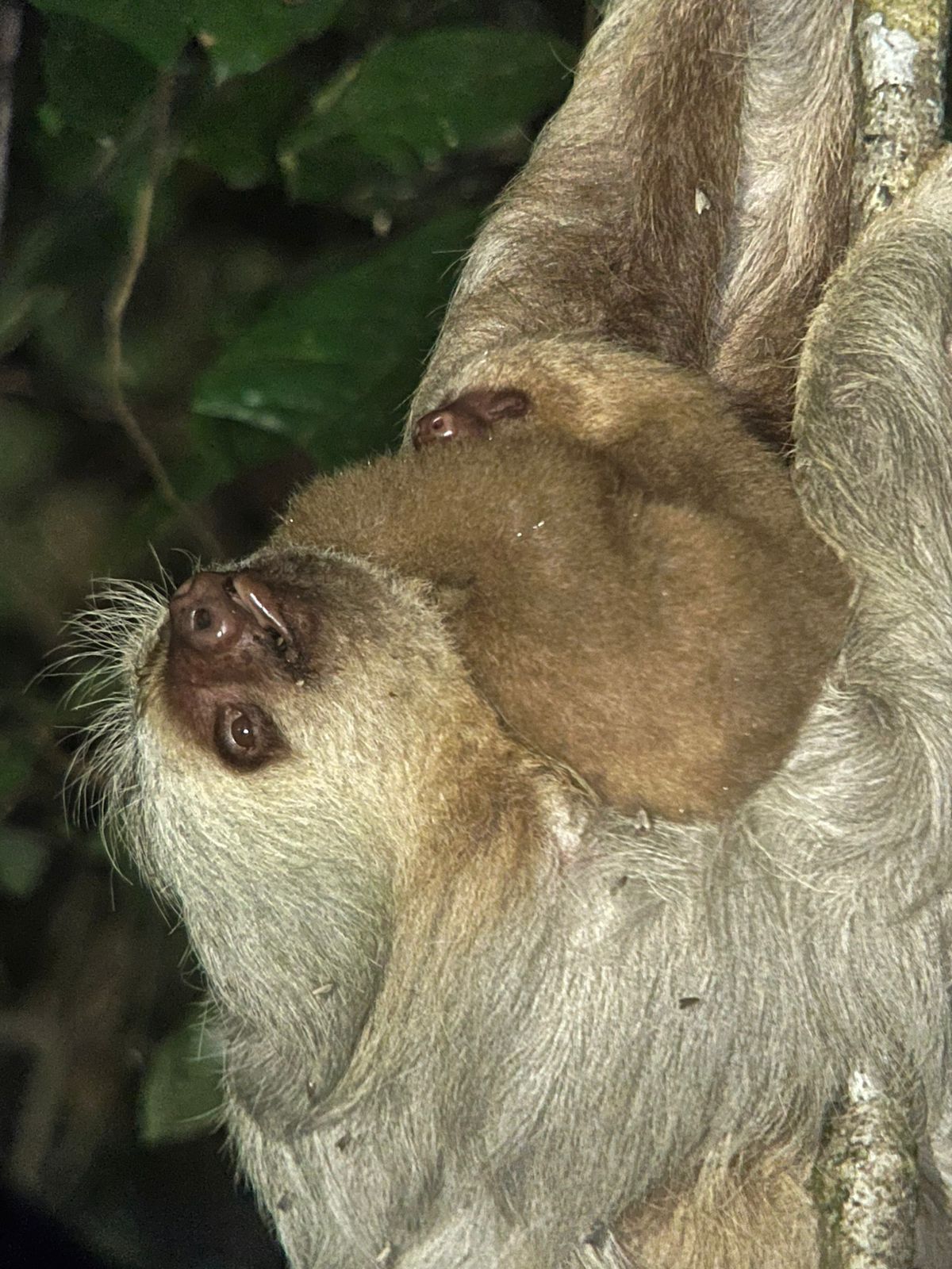 Costa Rica nature tour photo
