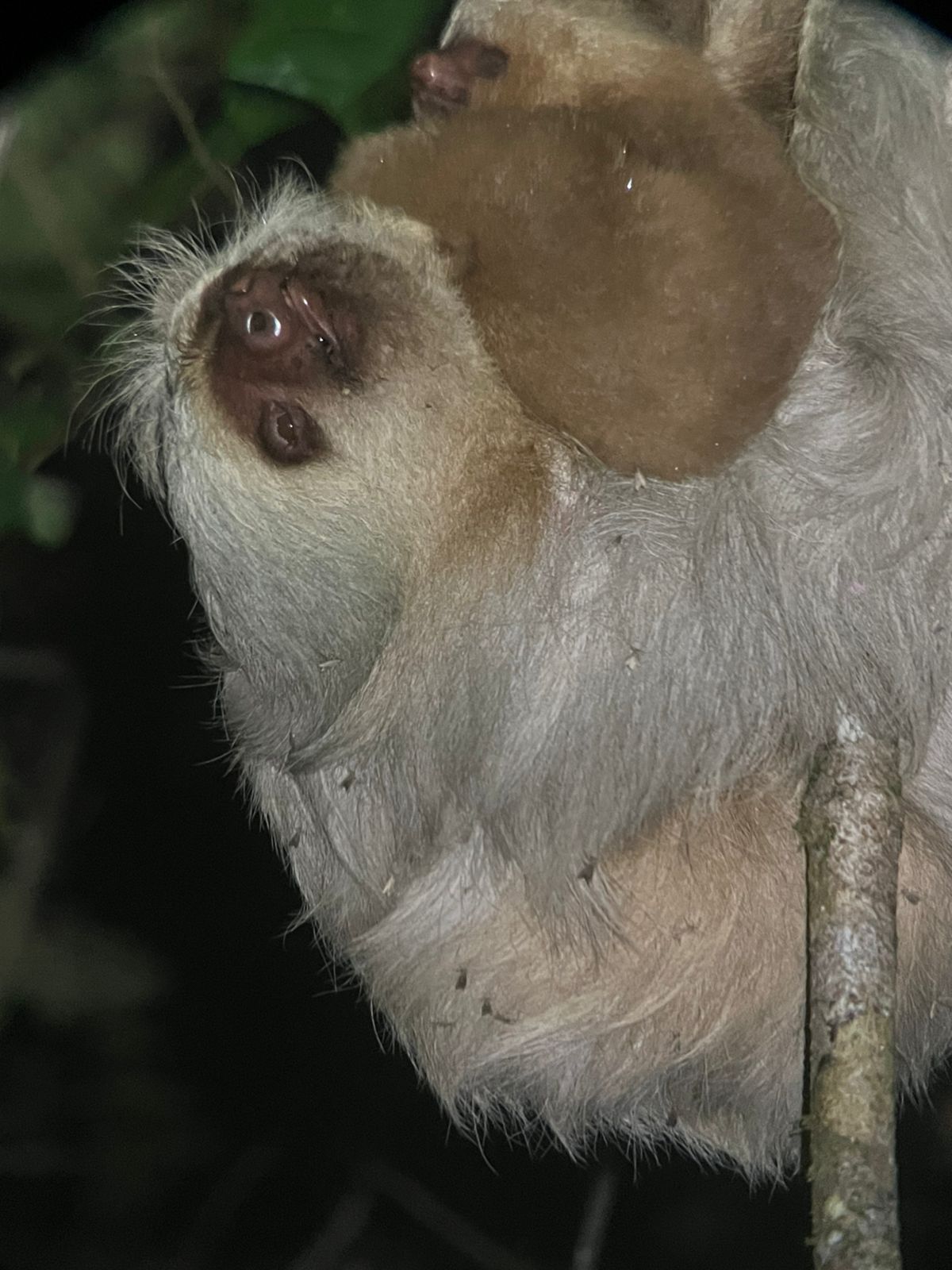 Costa Rica nature tour photo