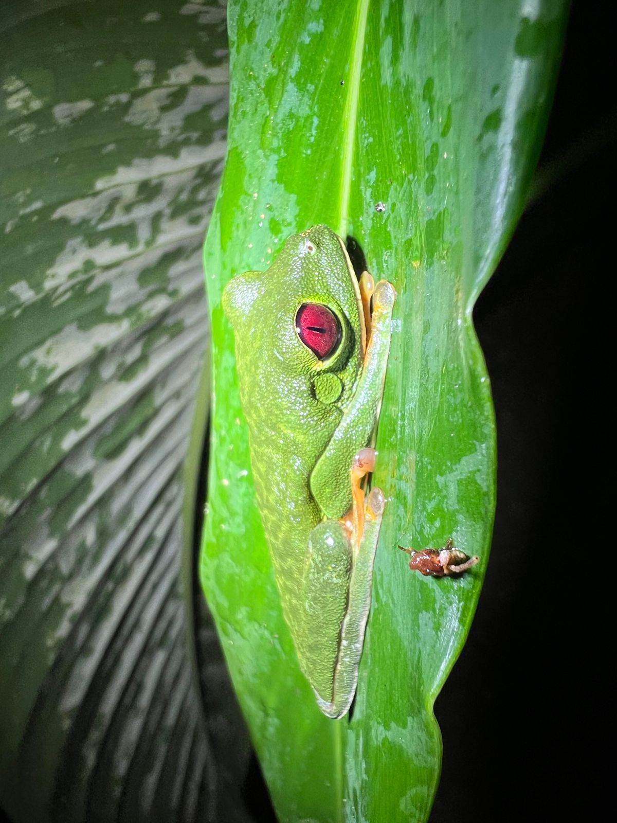Costa Rica nature tour photo