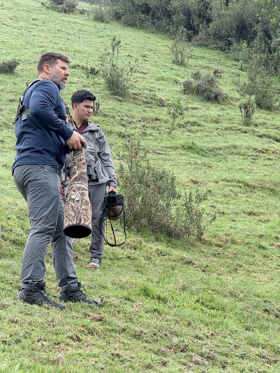 Guide support in the field