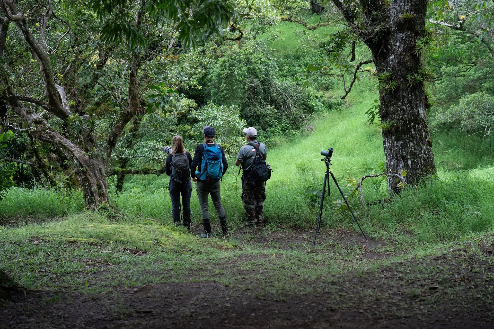 Costa Rica nature tour photo