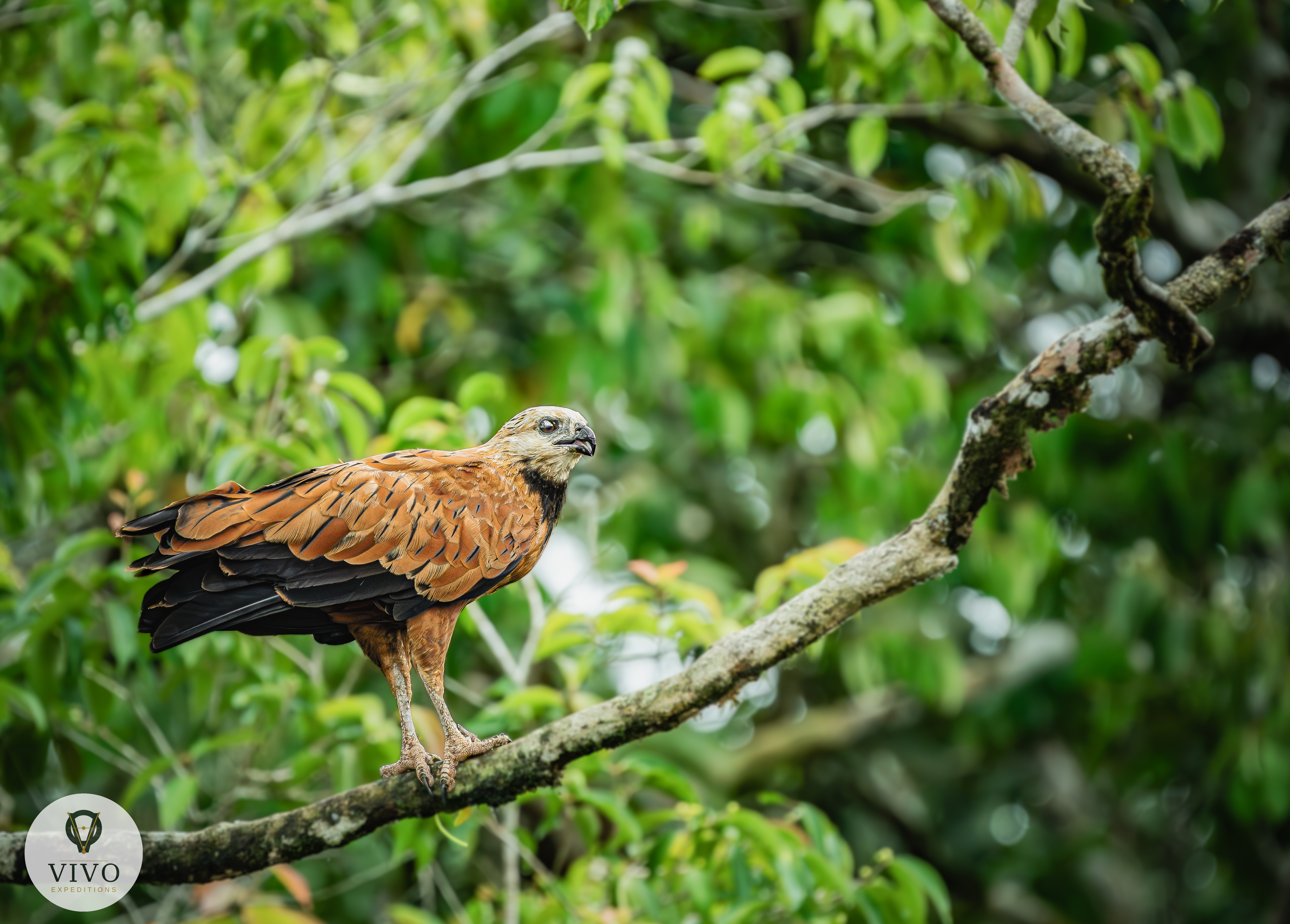 Costa Rica nature tour photo