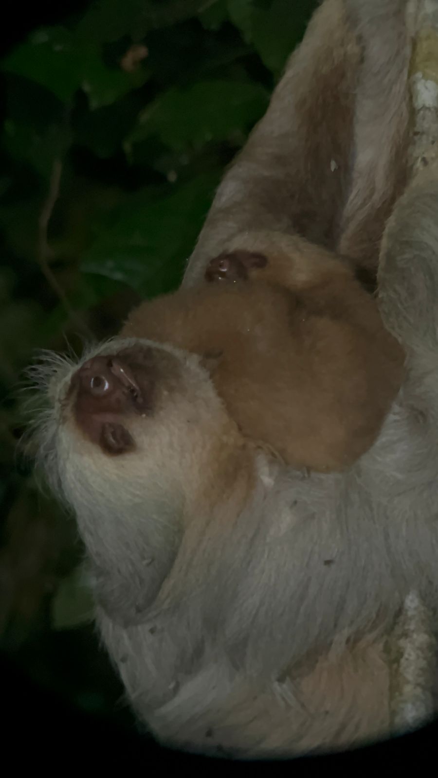 Costa Rica nature tour photo
