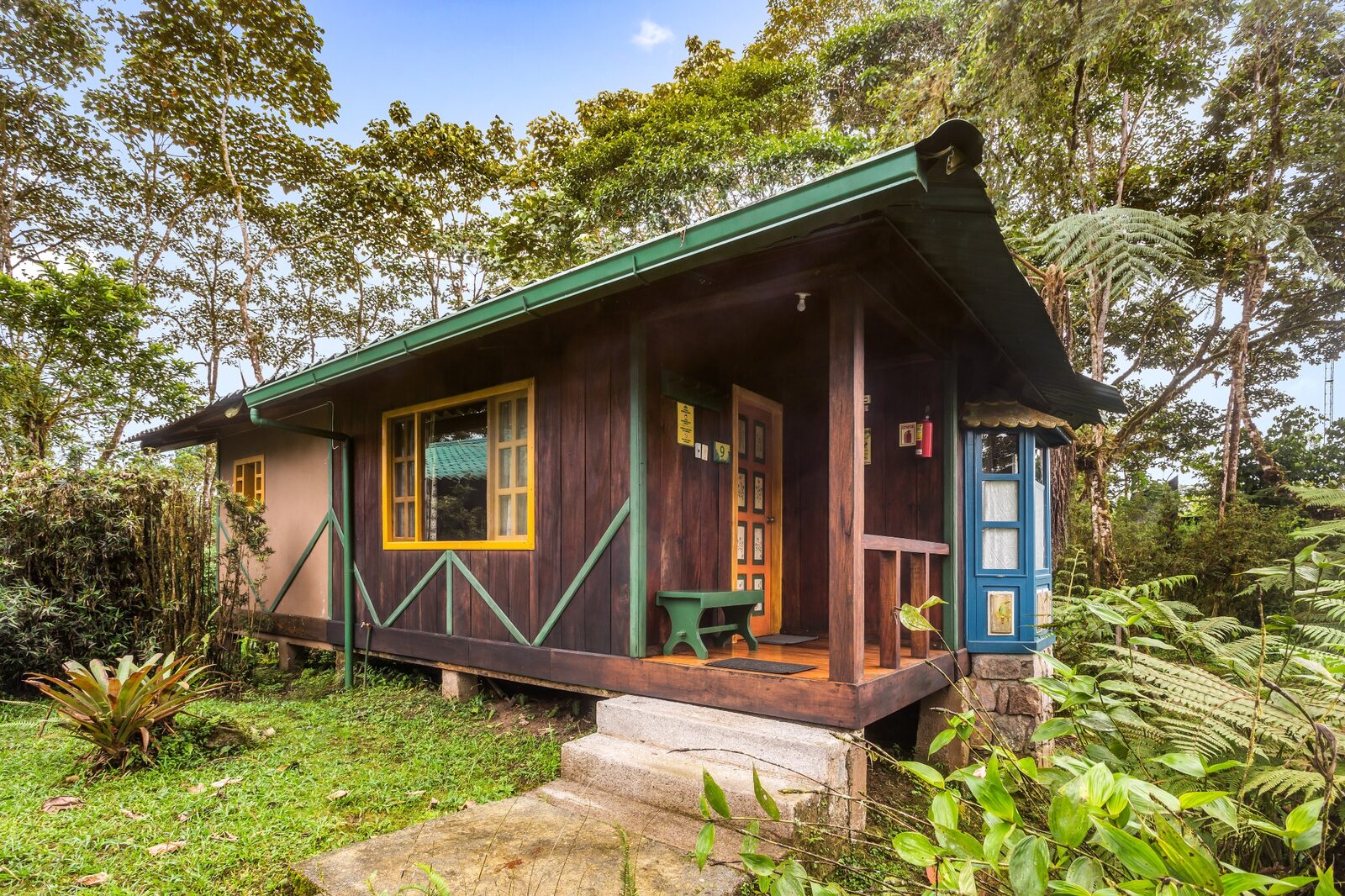 Cabin surrounded by cloud forest