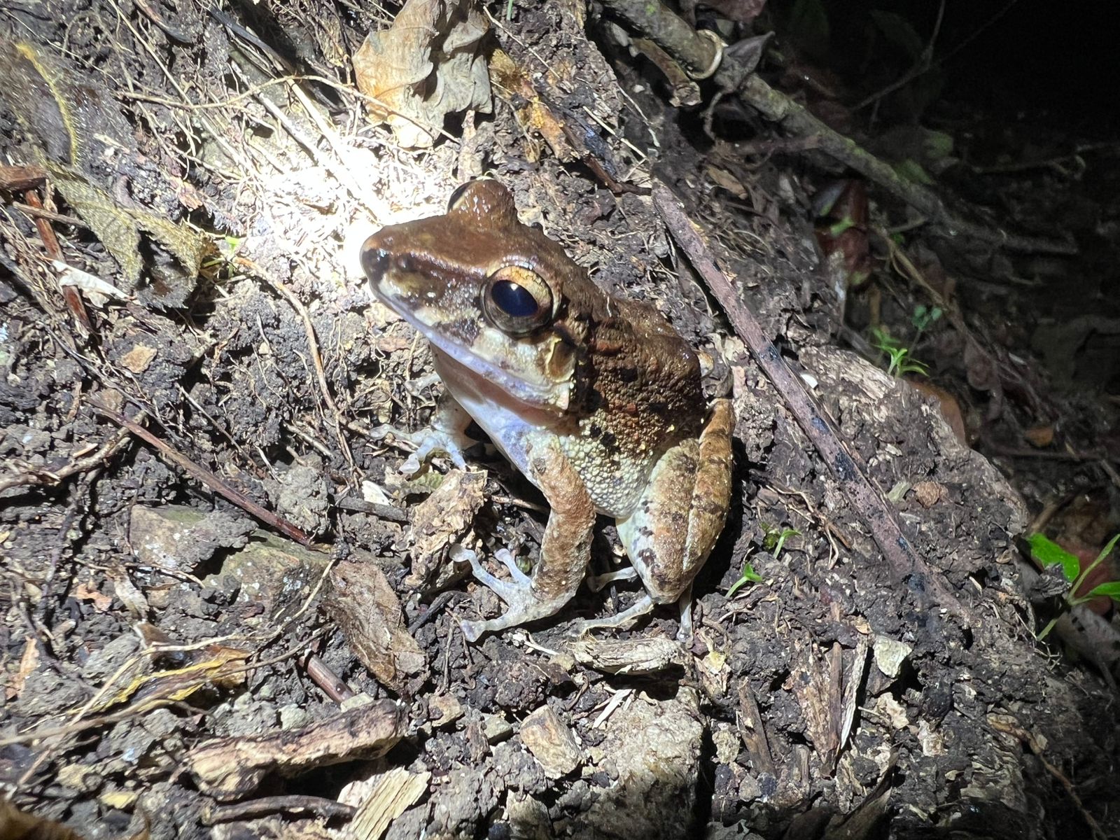 Costa Rica nature tour photo