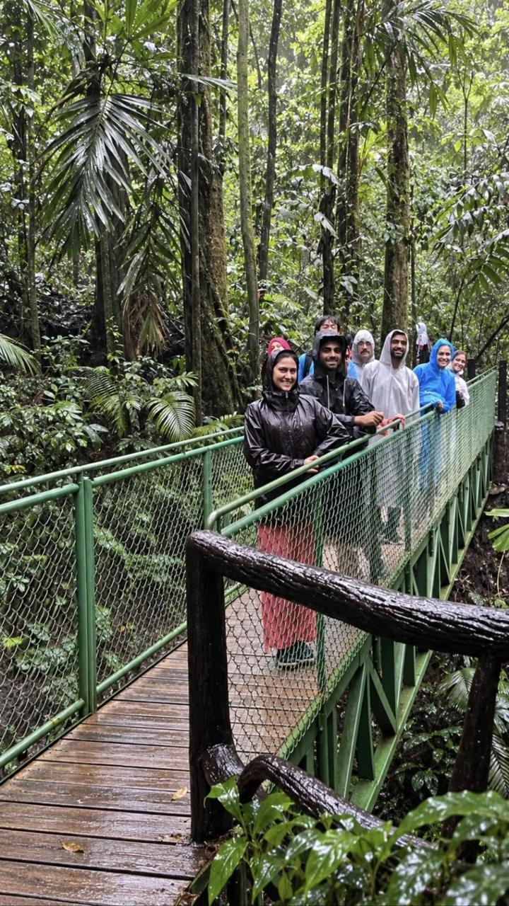 Group of guests crossing a hanging bridge in the rain, Arenal rainforest