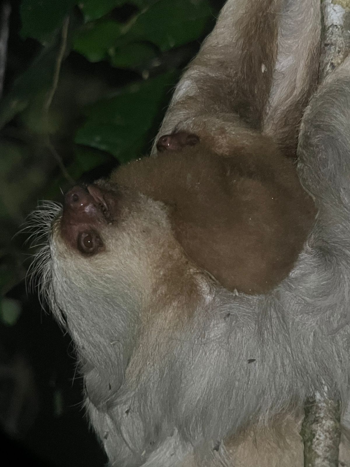 Costa Rica nature tour photo