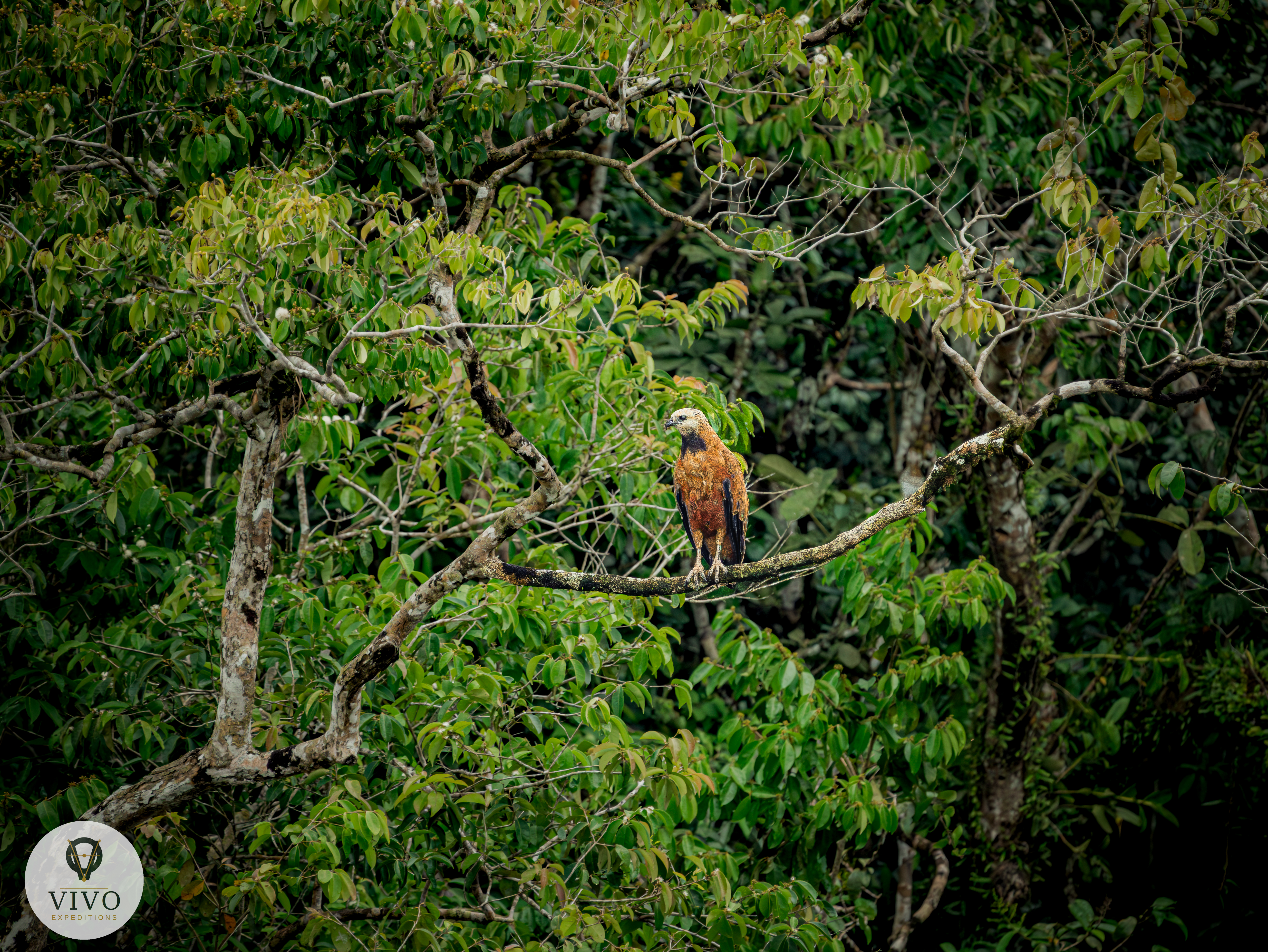 Costa Rica nature tour photo