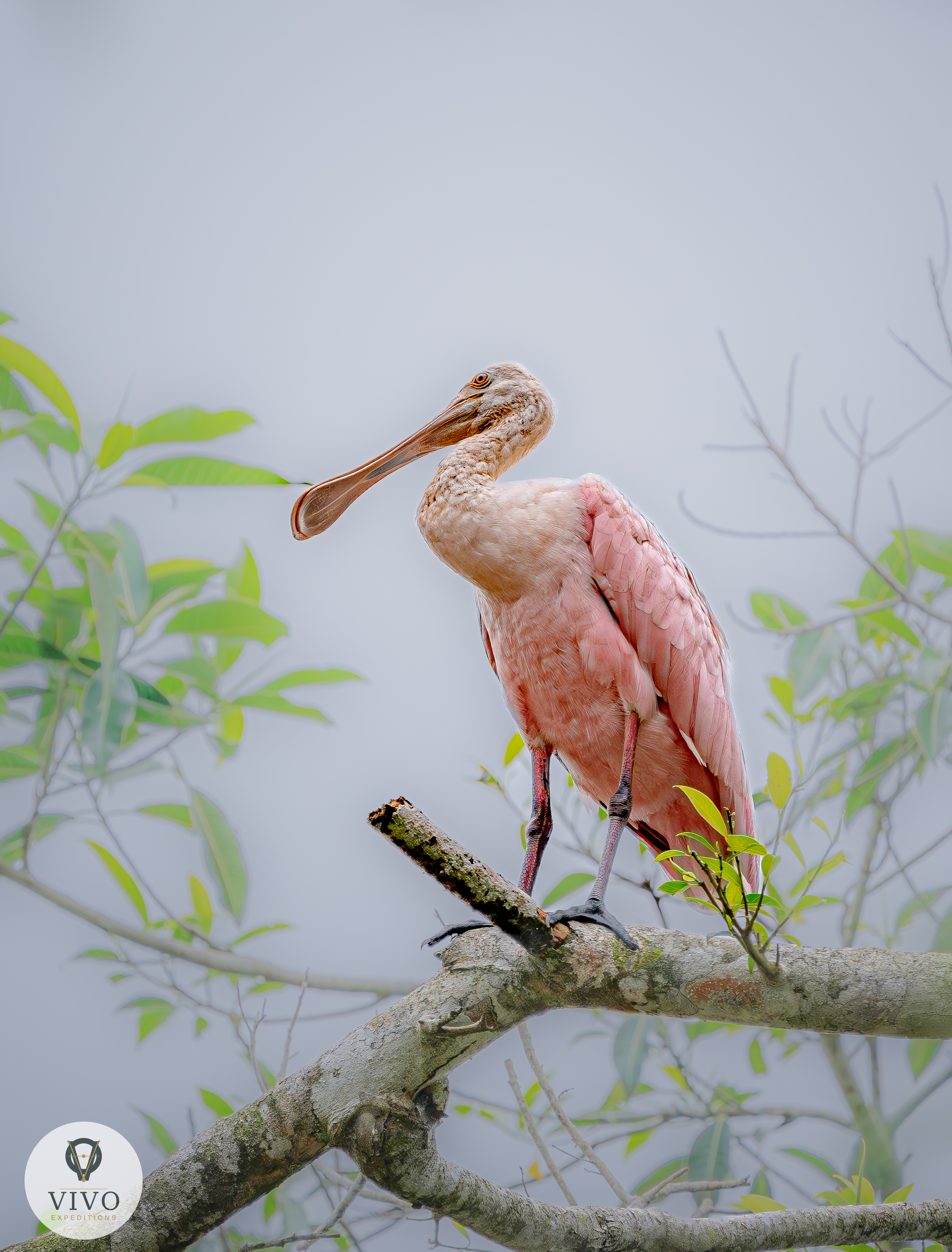 Costa Rica nature tour photo