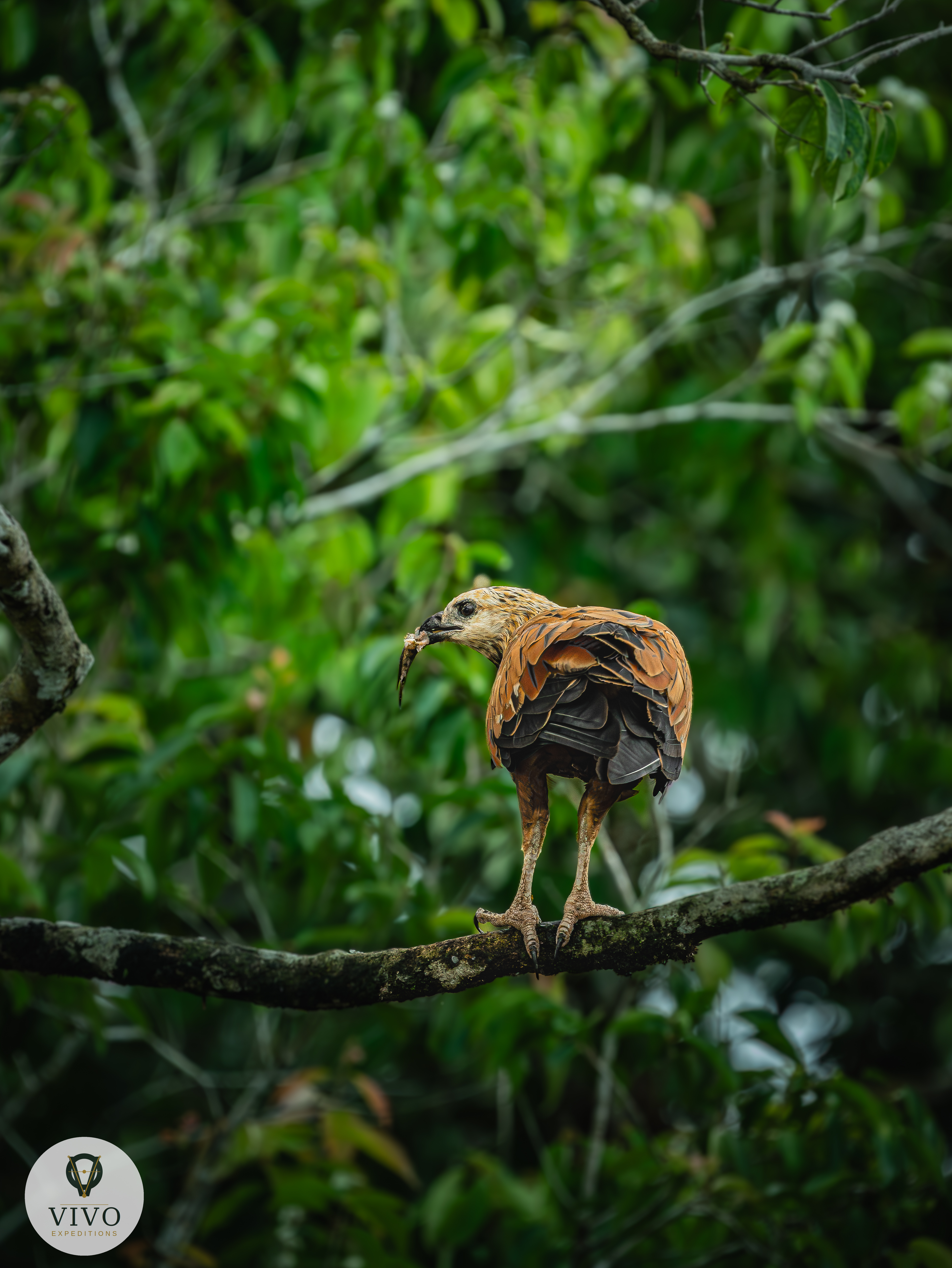 Costa Rica nature tour photo