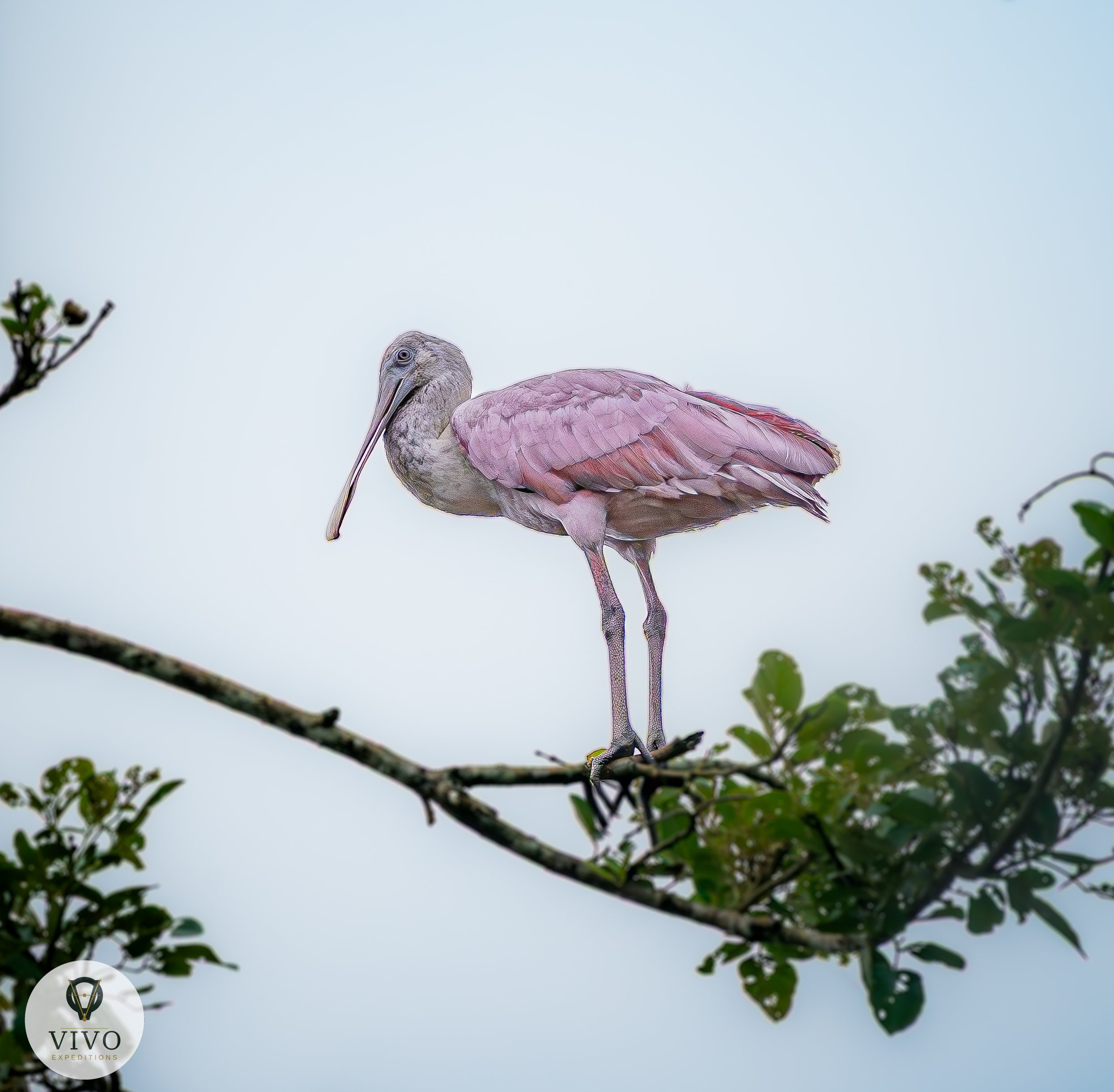 Costa Rica nature tour photo