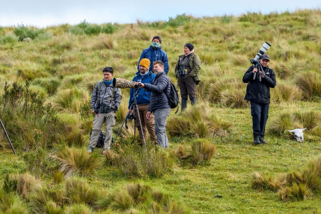 High-Andean teamwork