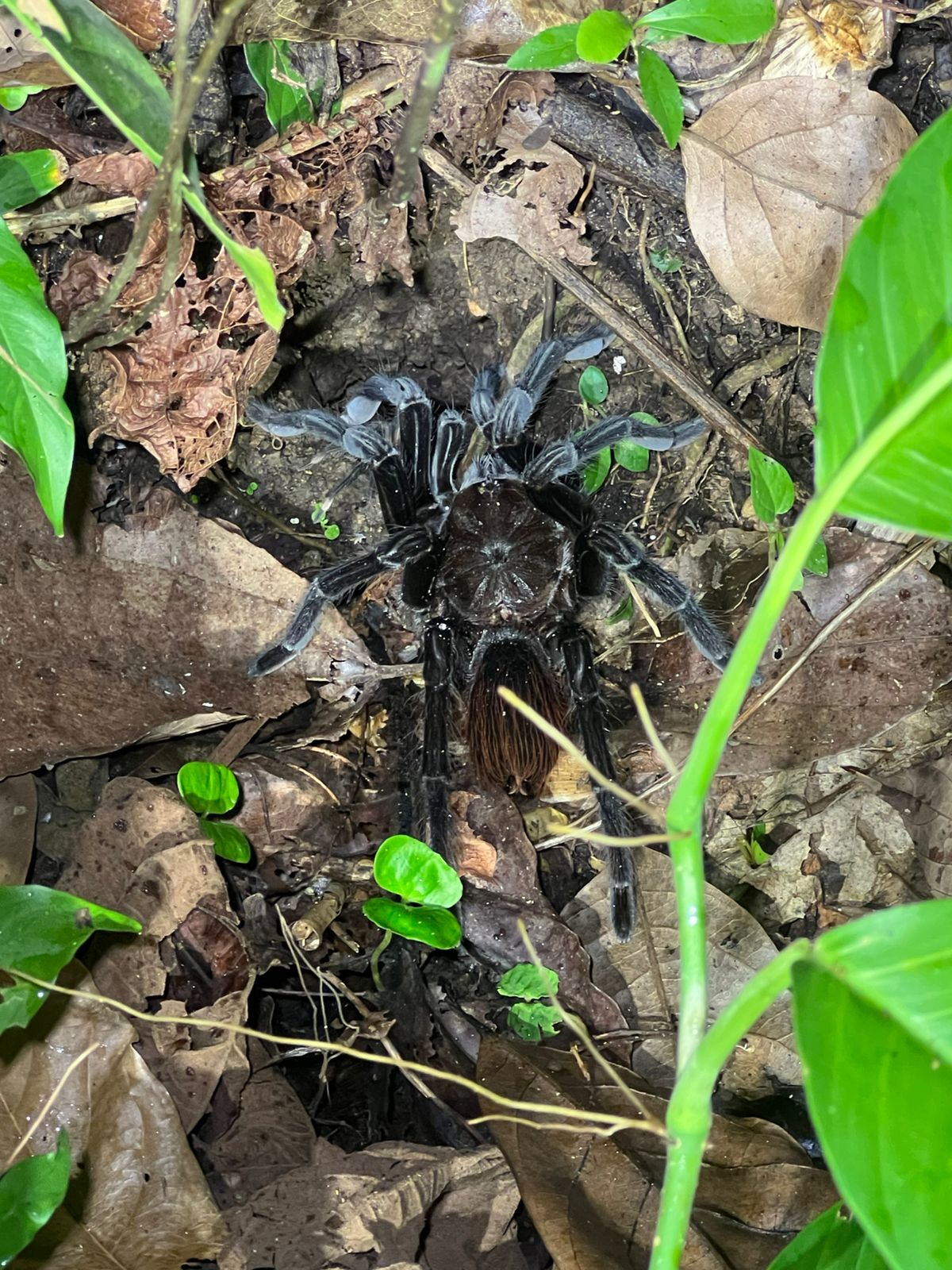 Costa Rica nature tour photo