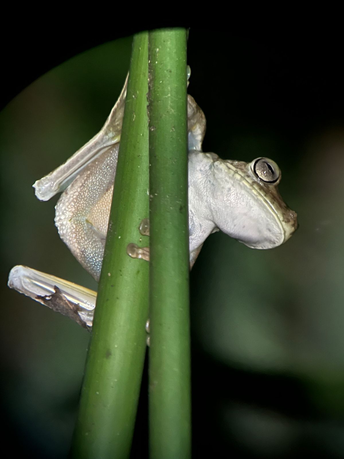 Costa Rica nature tour photo