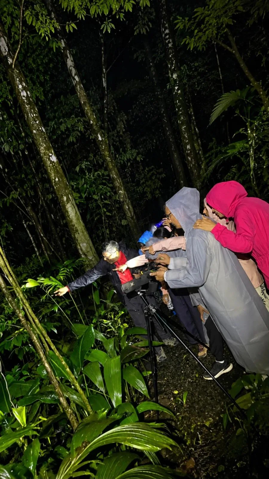 Ecocentro Danaus – Night Tour — Group Tour