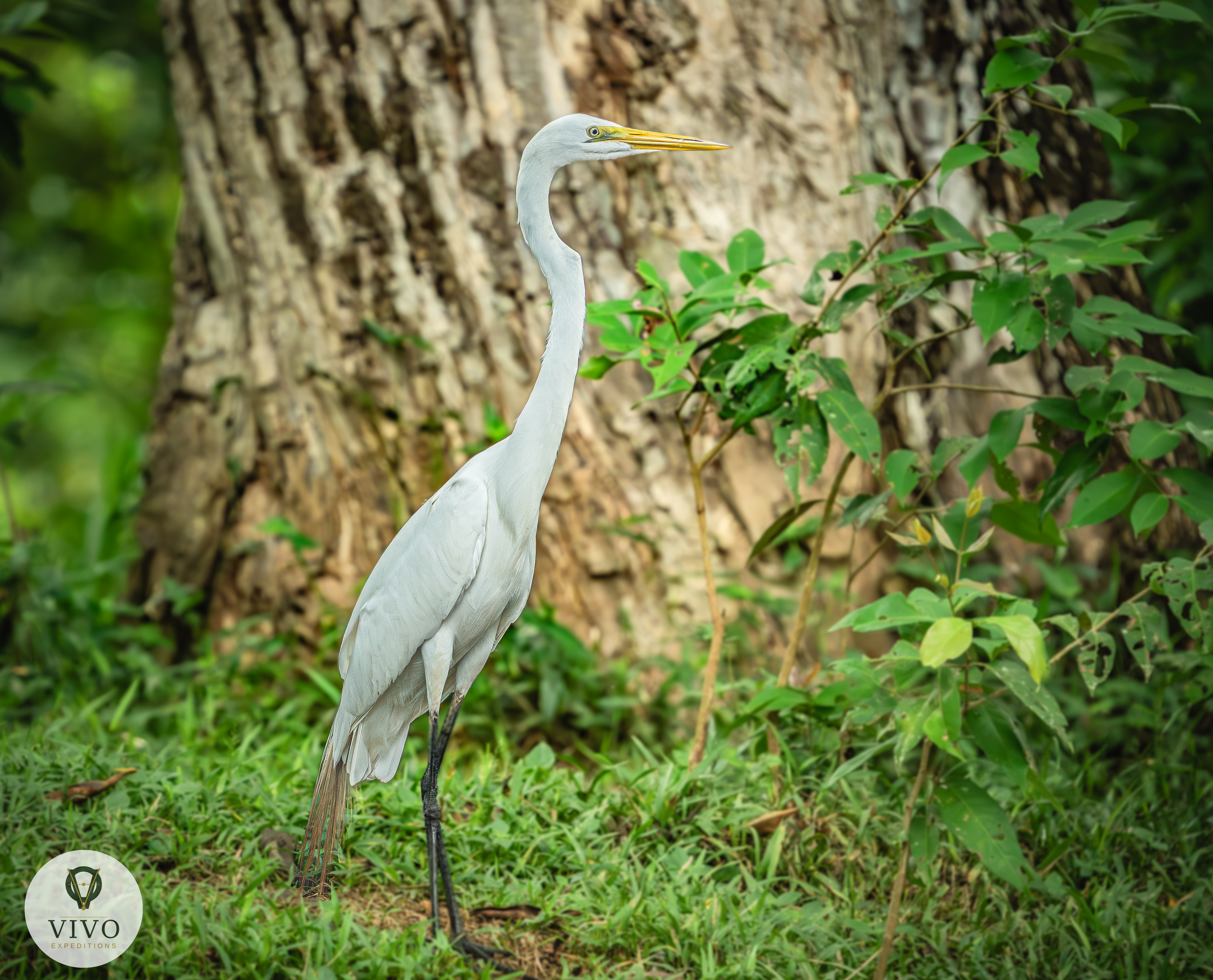 Costa Rica nature tour photo
