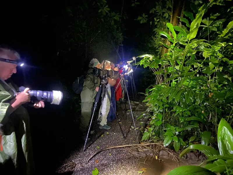 Guests with headlamps and cameras photographing wildlife on the Papa's Place night tour near La Fortuna