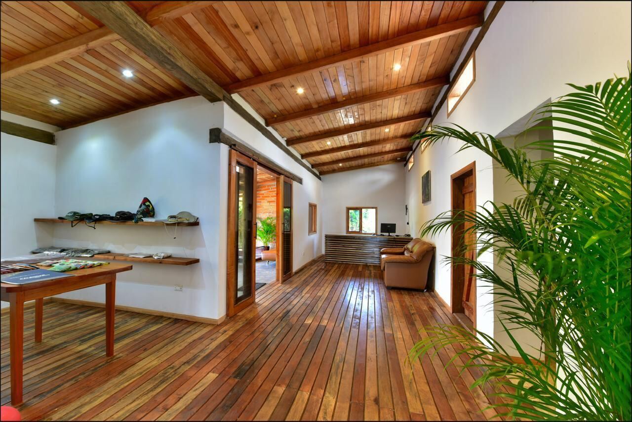 Warm timber interiors