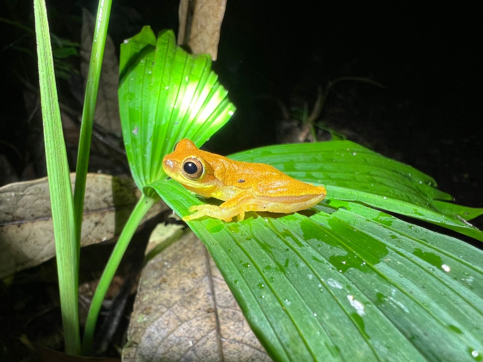 Costa Rica nature tour photo