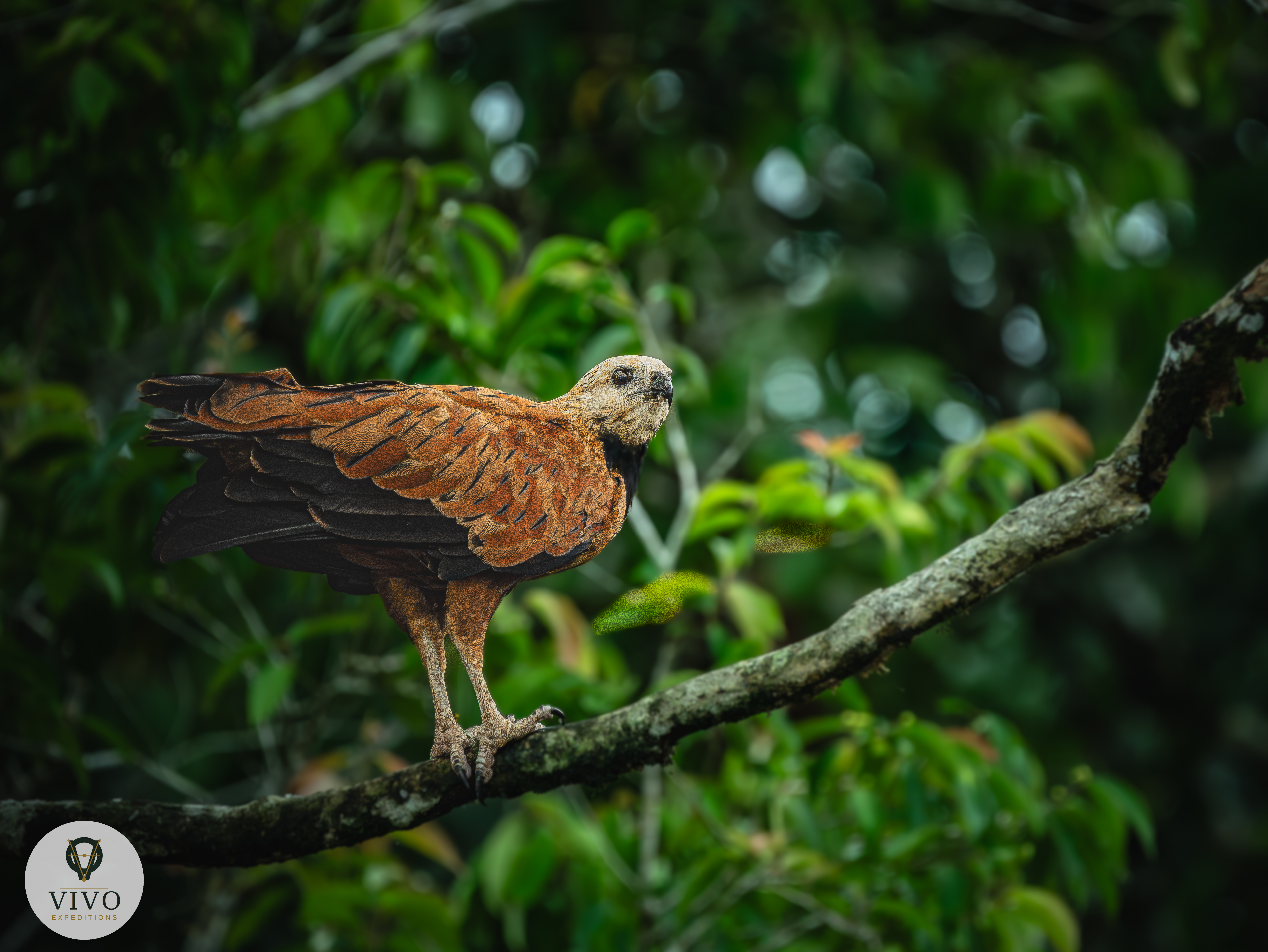 Costa Rica nature tour photo