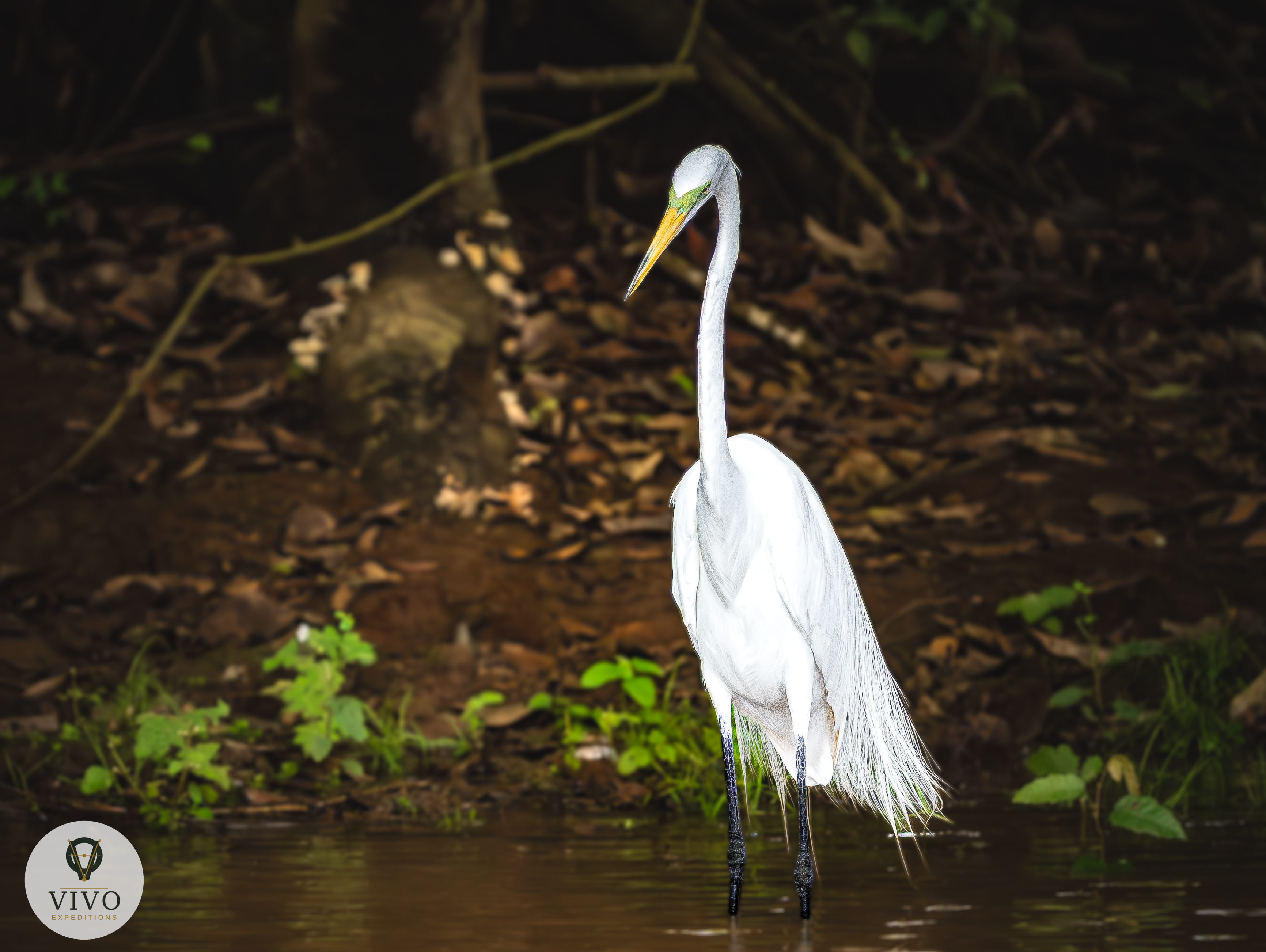Costa Rica nature tour photo