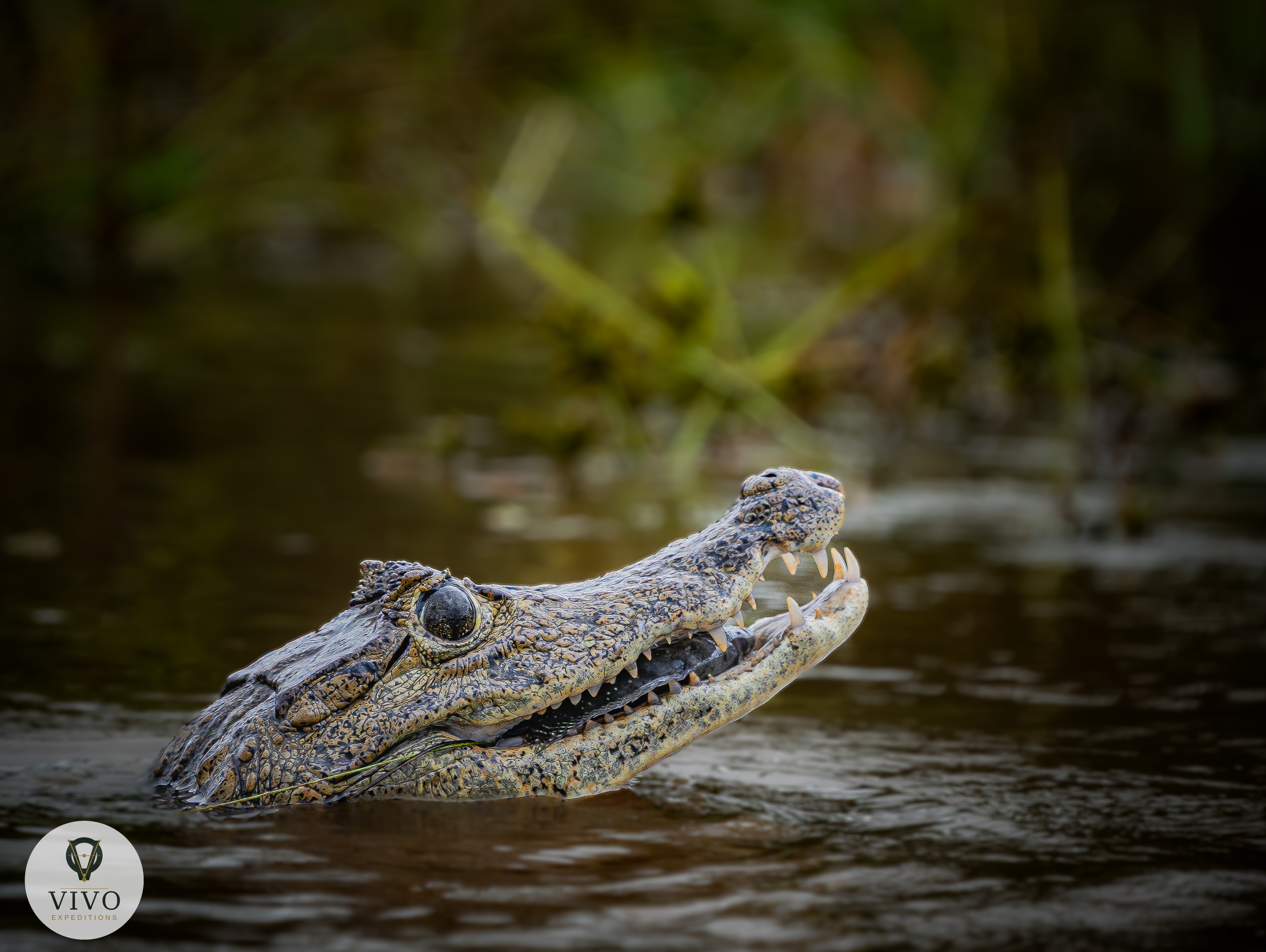 Costa Rica nature tour photo