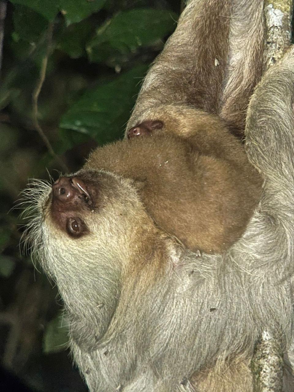 Costa Rica nature tour photo