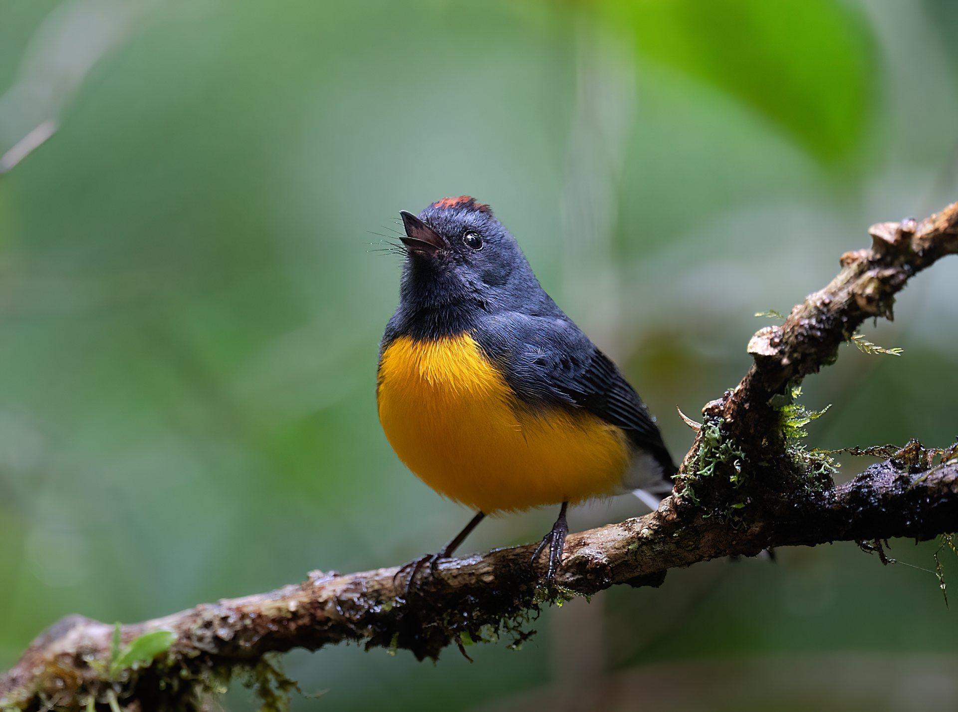 Costa Rica nature tour photo
