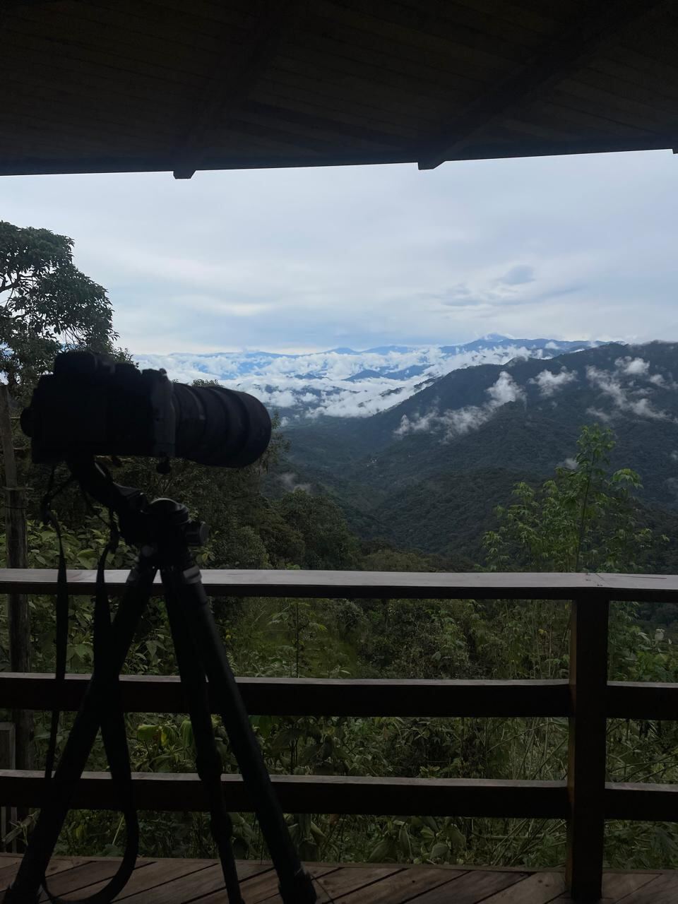 Observation areas close to the lodge