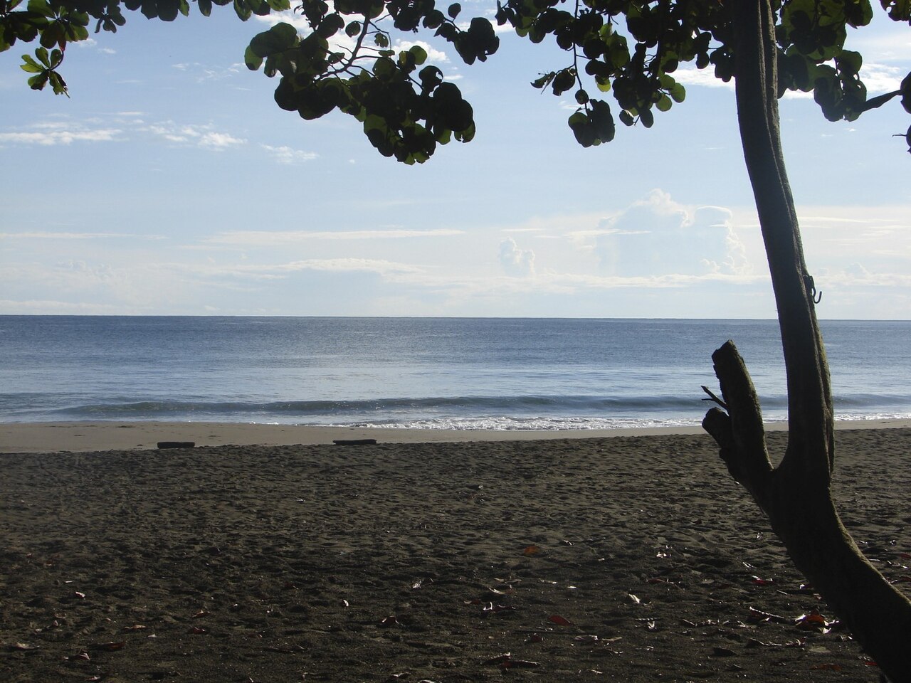 Puerto Viejo (Limón)