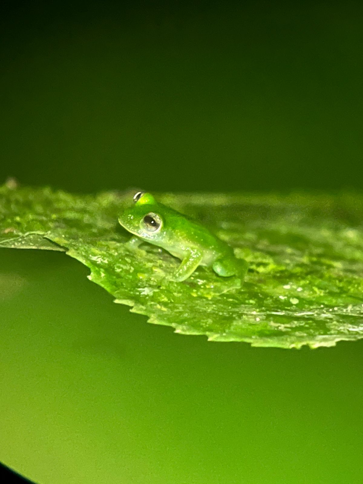 Costa Rica nature tour photo