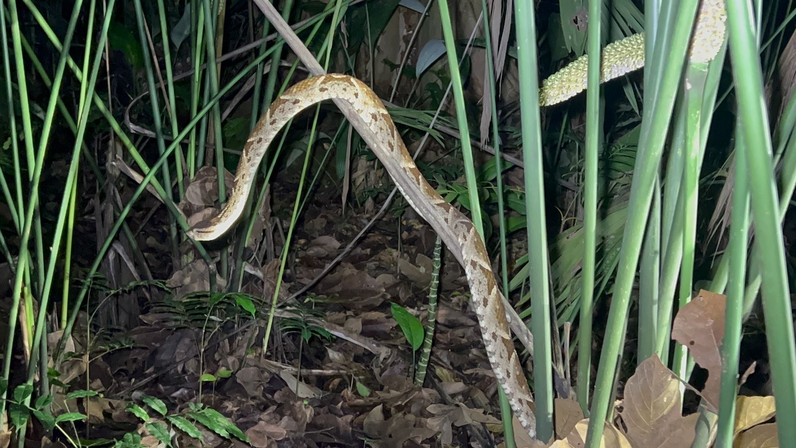 Costa Rica nature tour photo