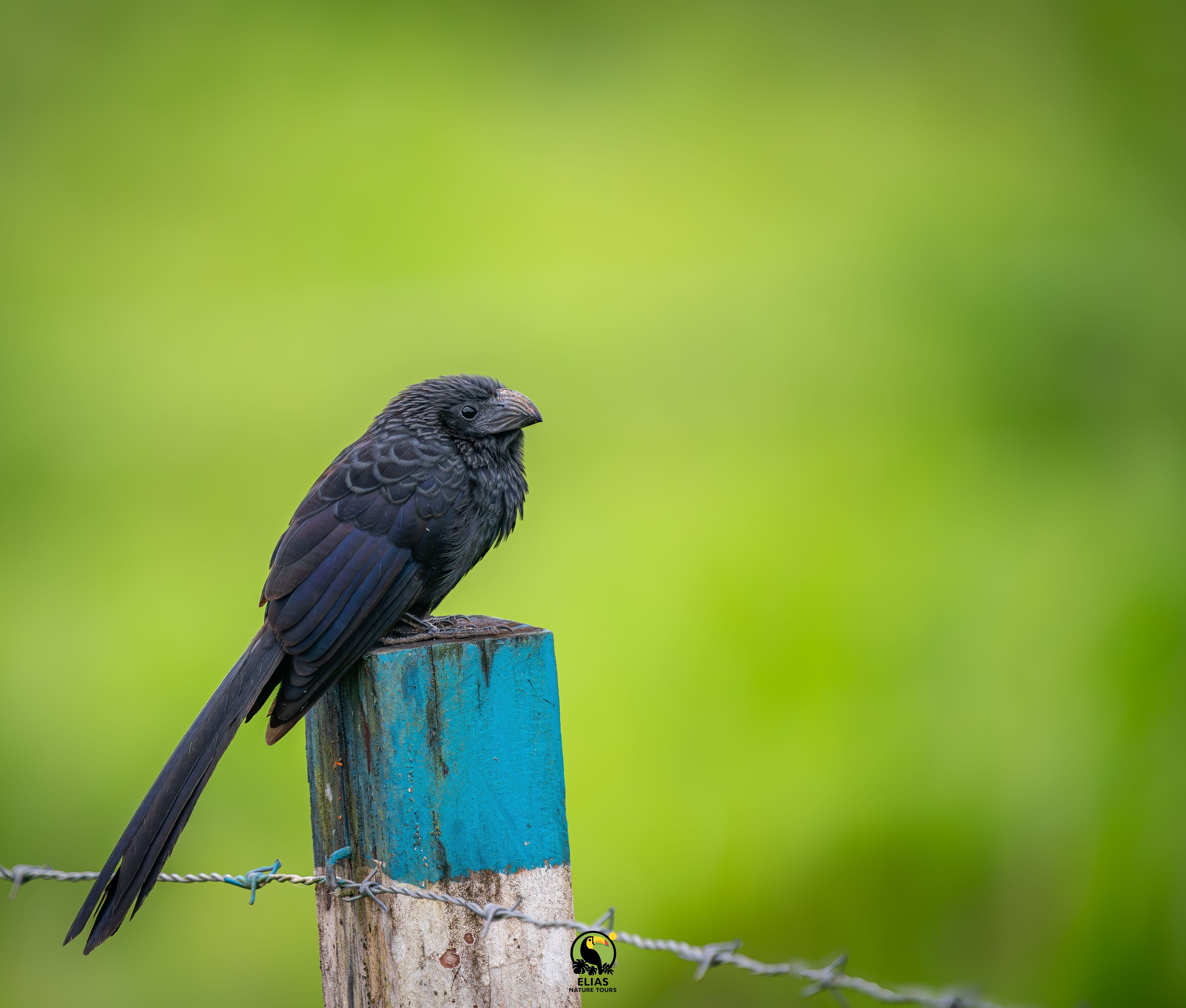 Costa Rica nature tour photo