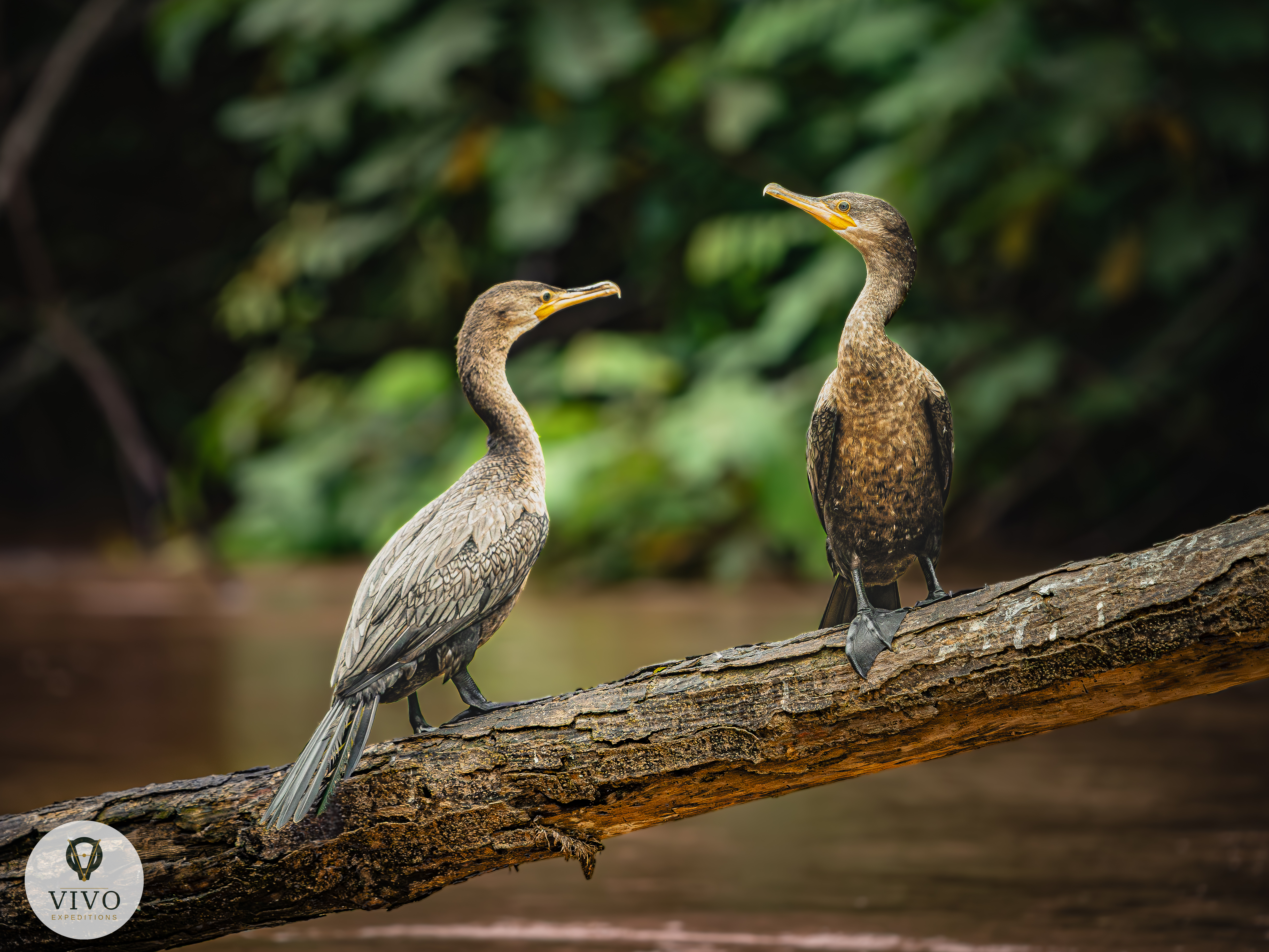 Costa Rica nature tour photo
