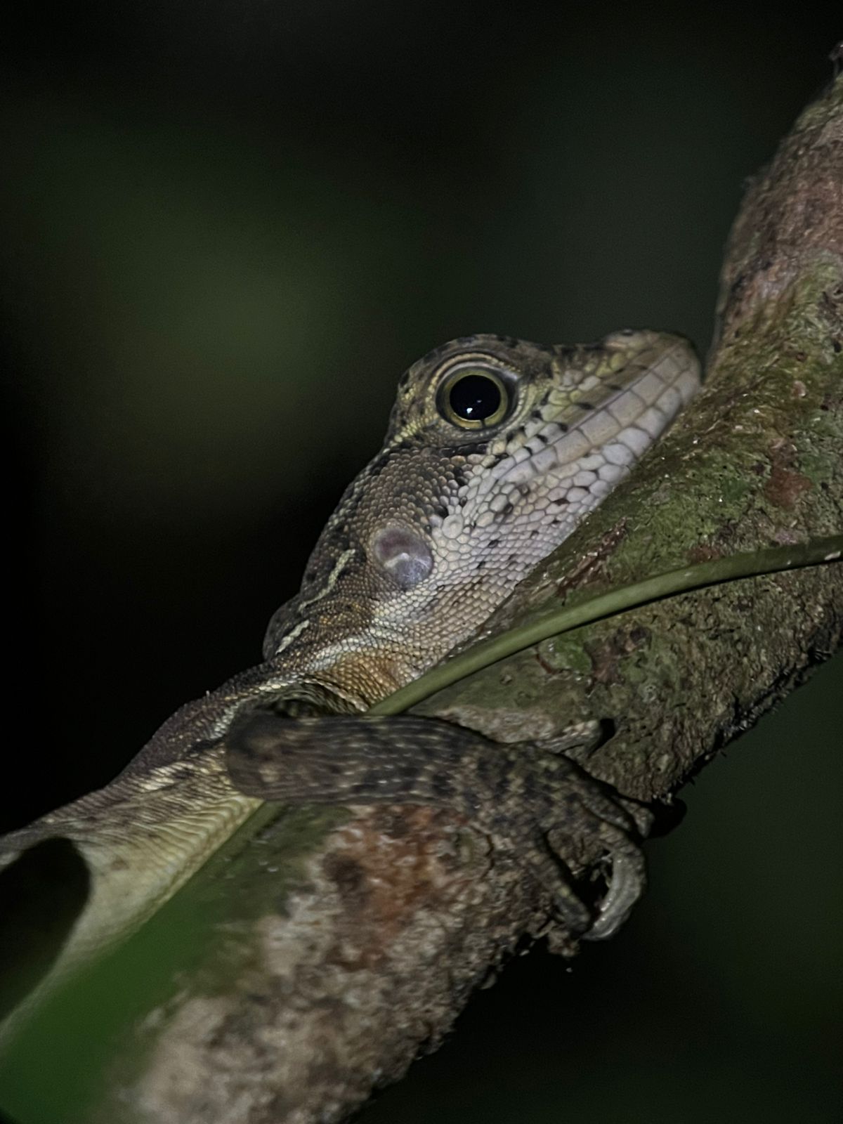 Costa Rica nature tour photo