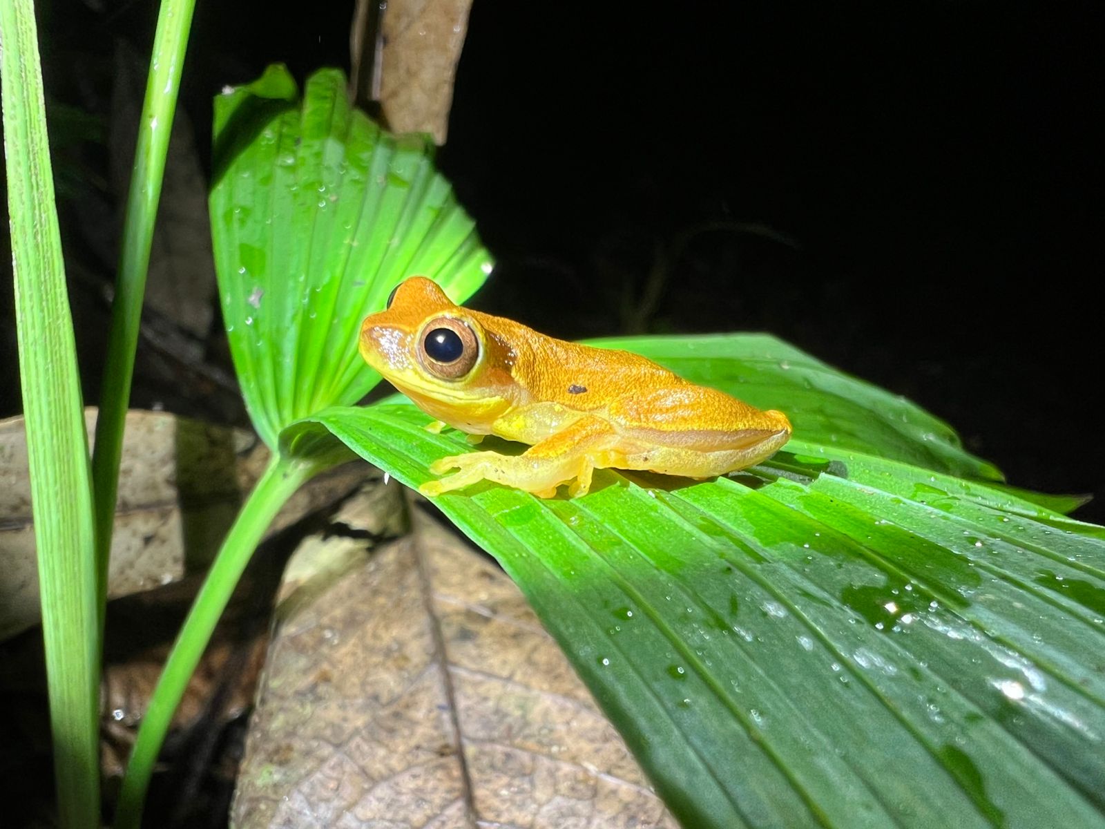Costa Rica nature tour photo