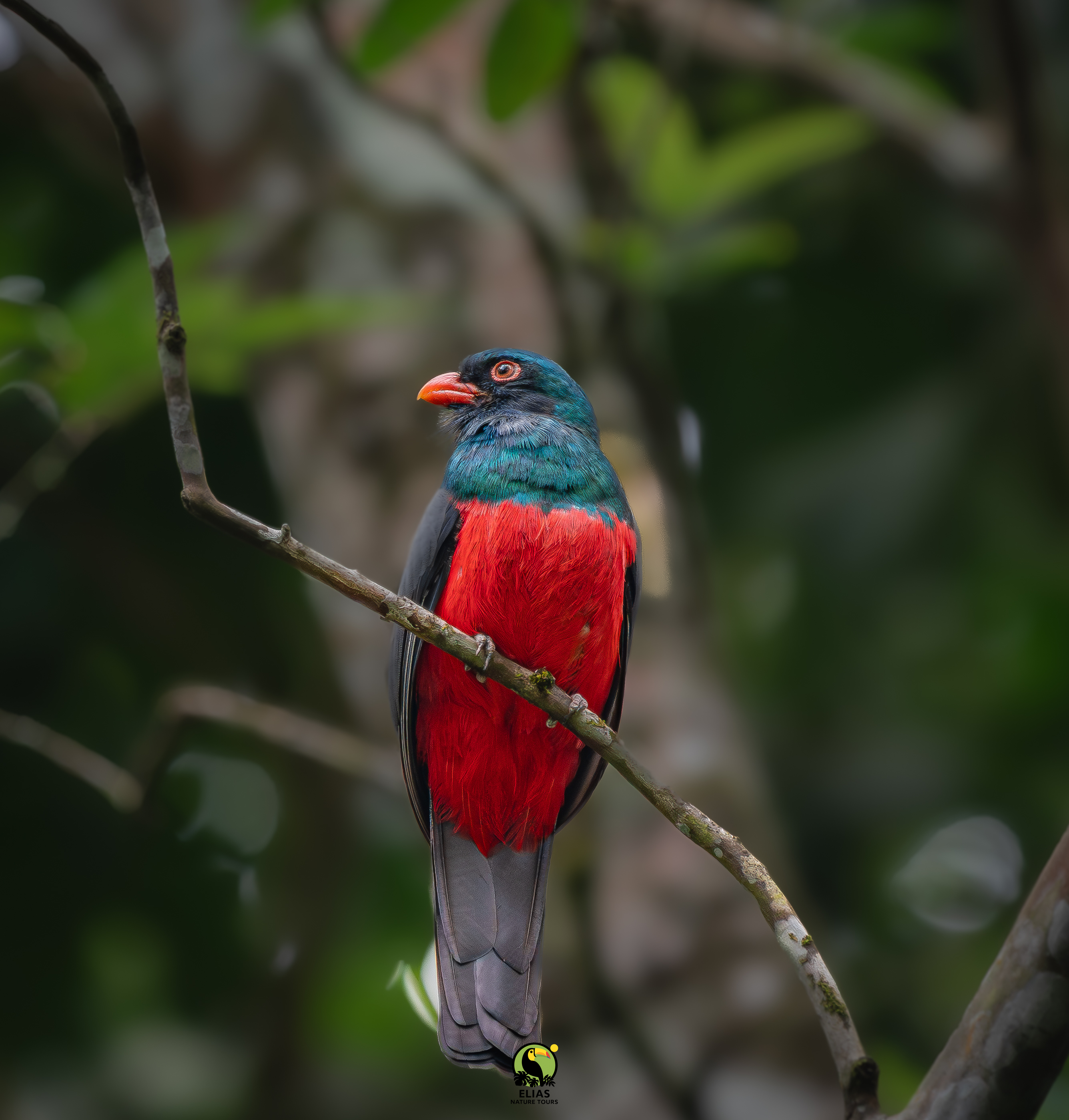 Costa Rica nature tour photo