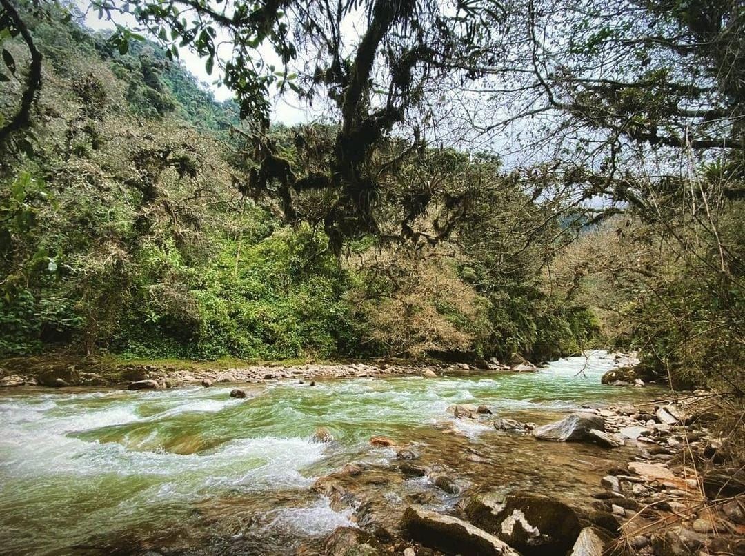 River-edge habitat beside the lodge