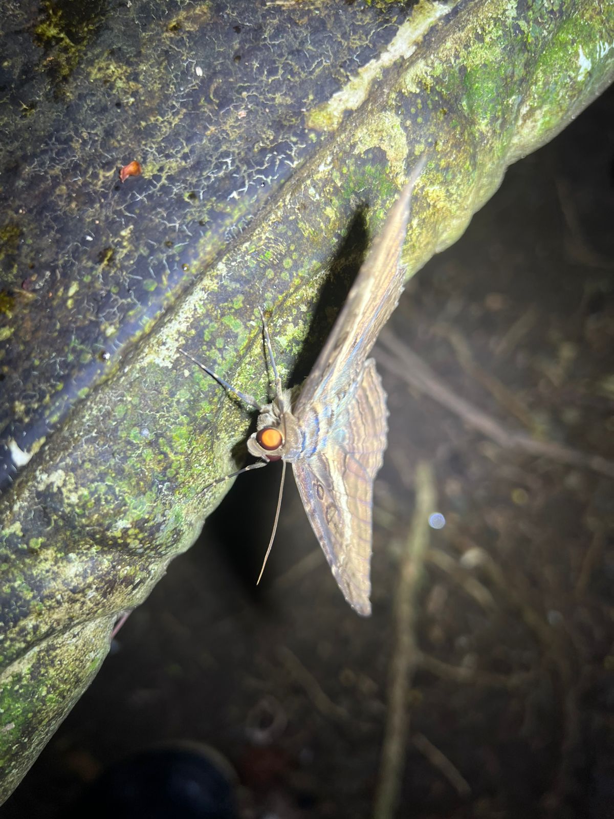 Costa Rica nature tour photo
