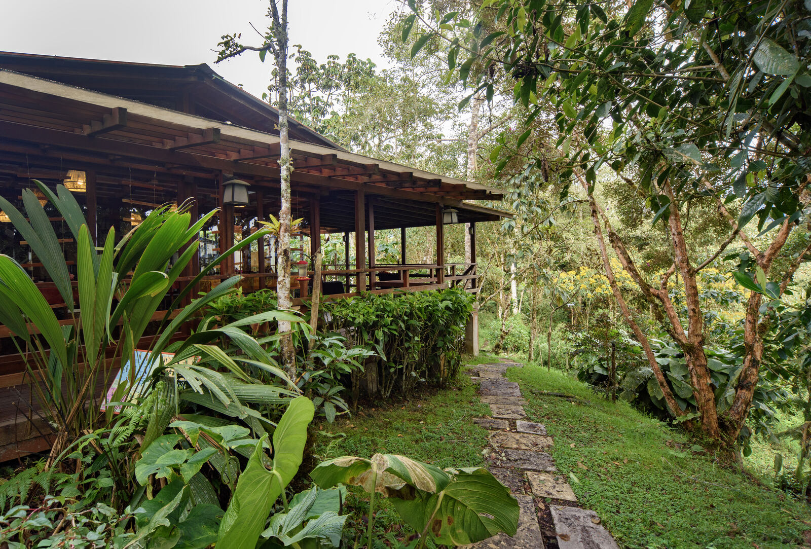 Cabañas San Isidro lodge surrounded by eastern Andean cloud forest