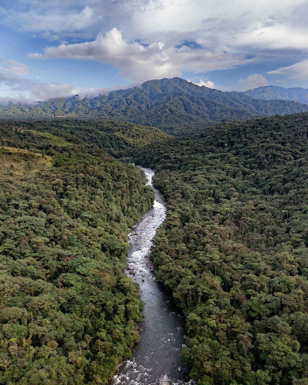 Eastern Andes landscape