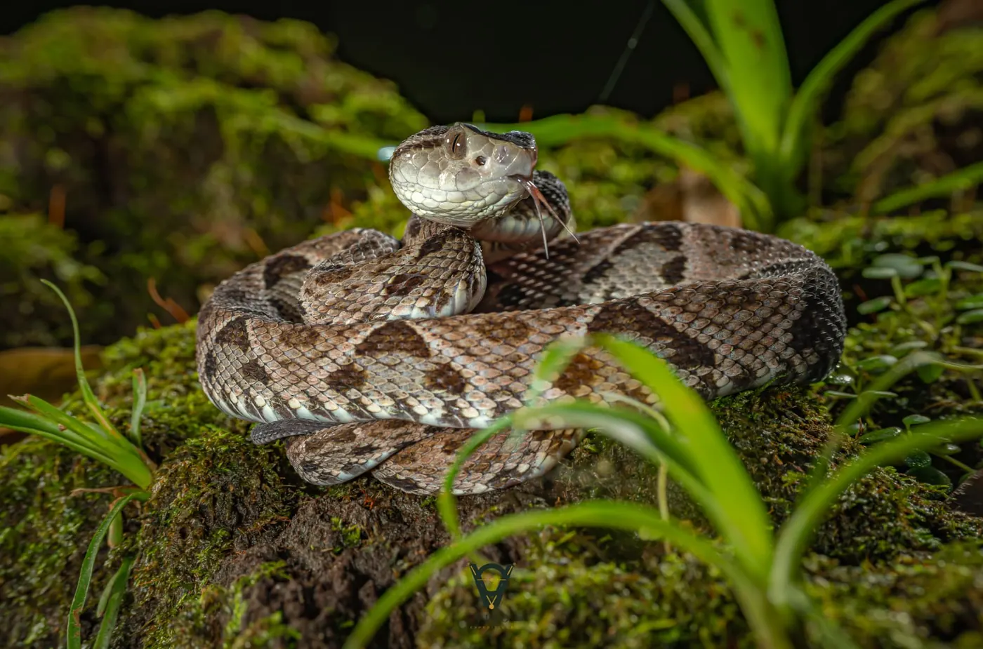 Costa Rica nature tour photo