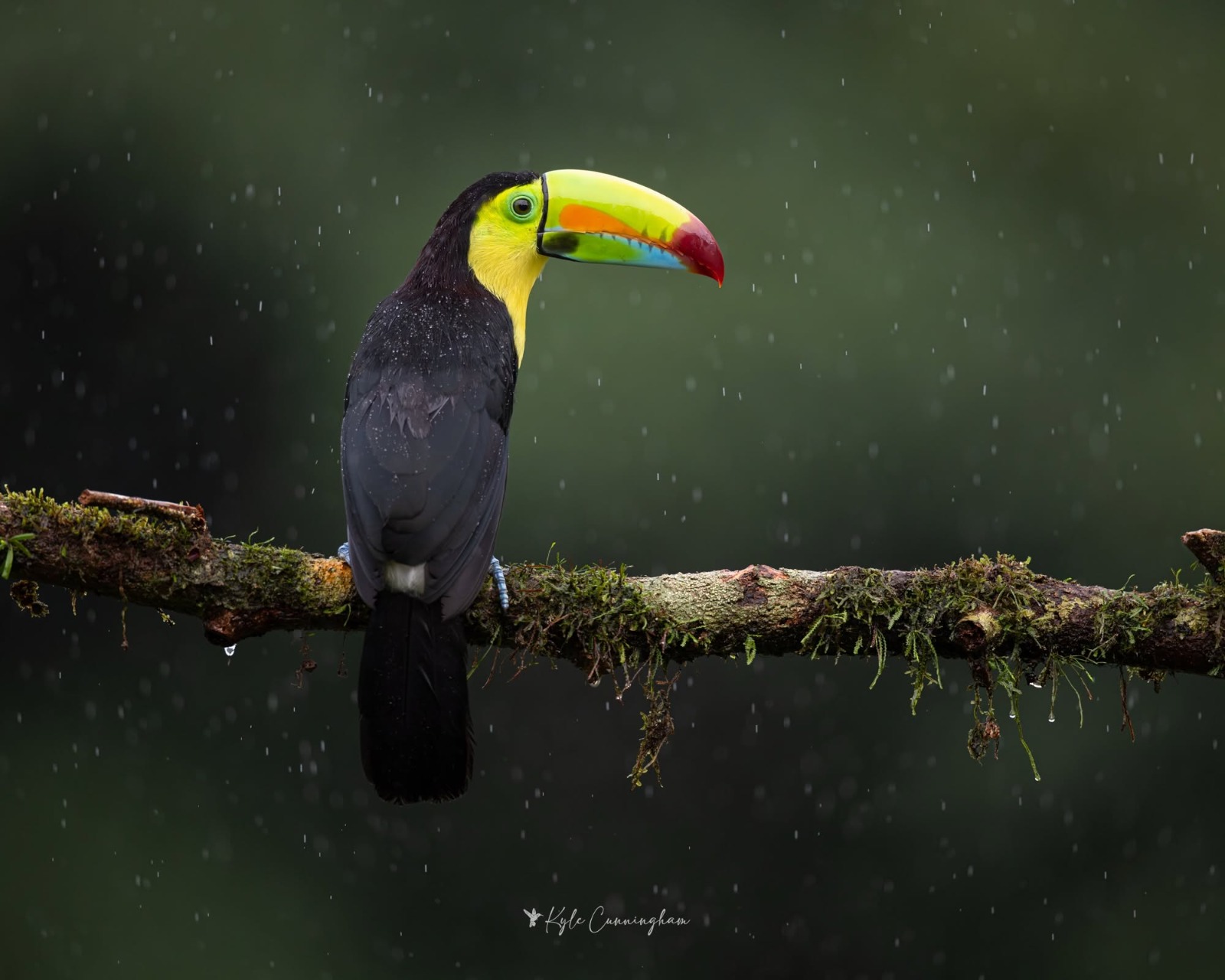 Costa Rica nature tour photo