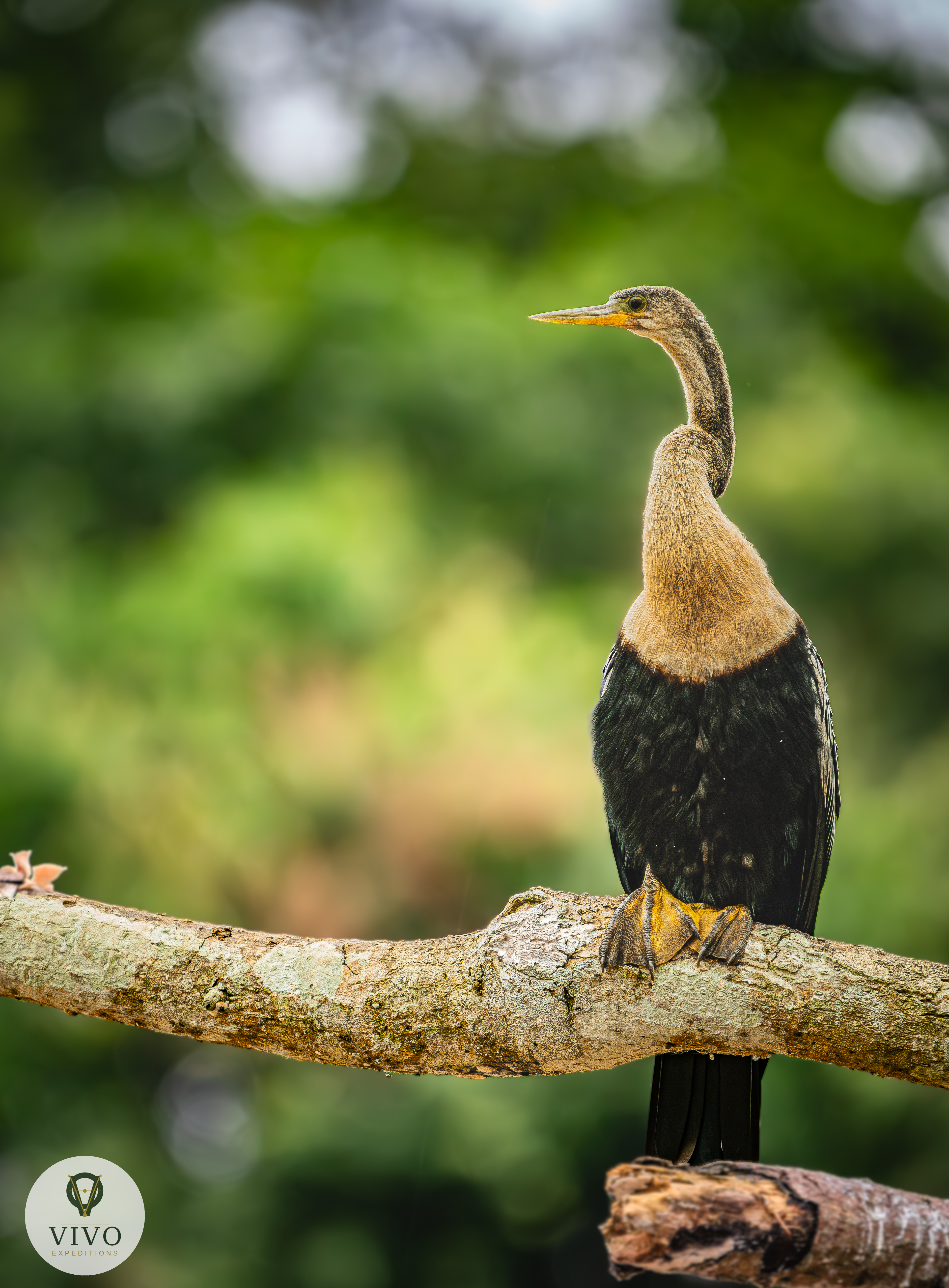 Costa Rica nature tour photo