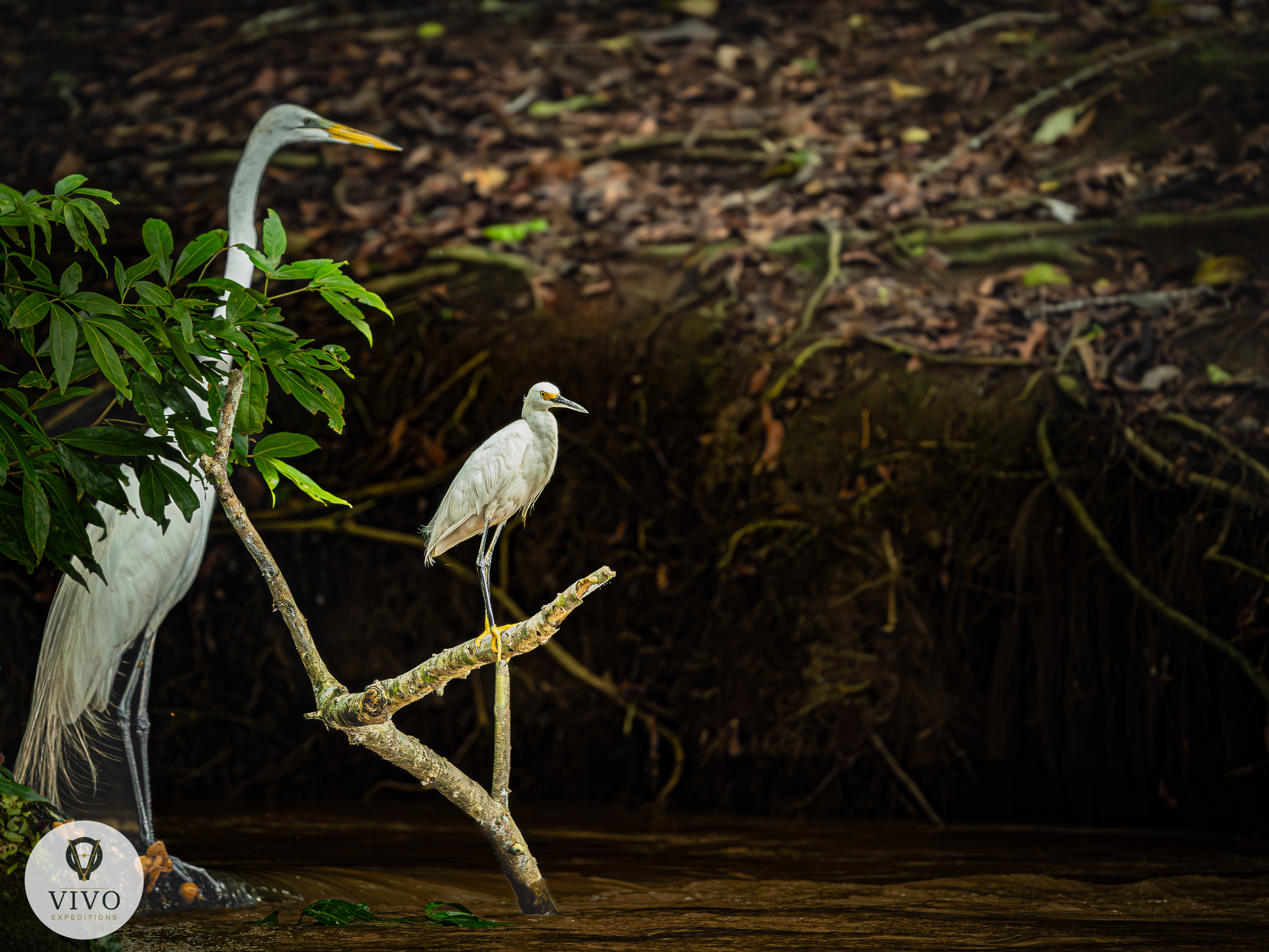 Costa Rica nature tour photo