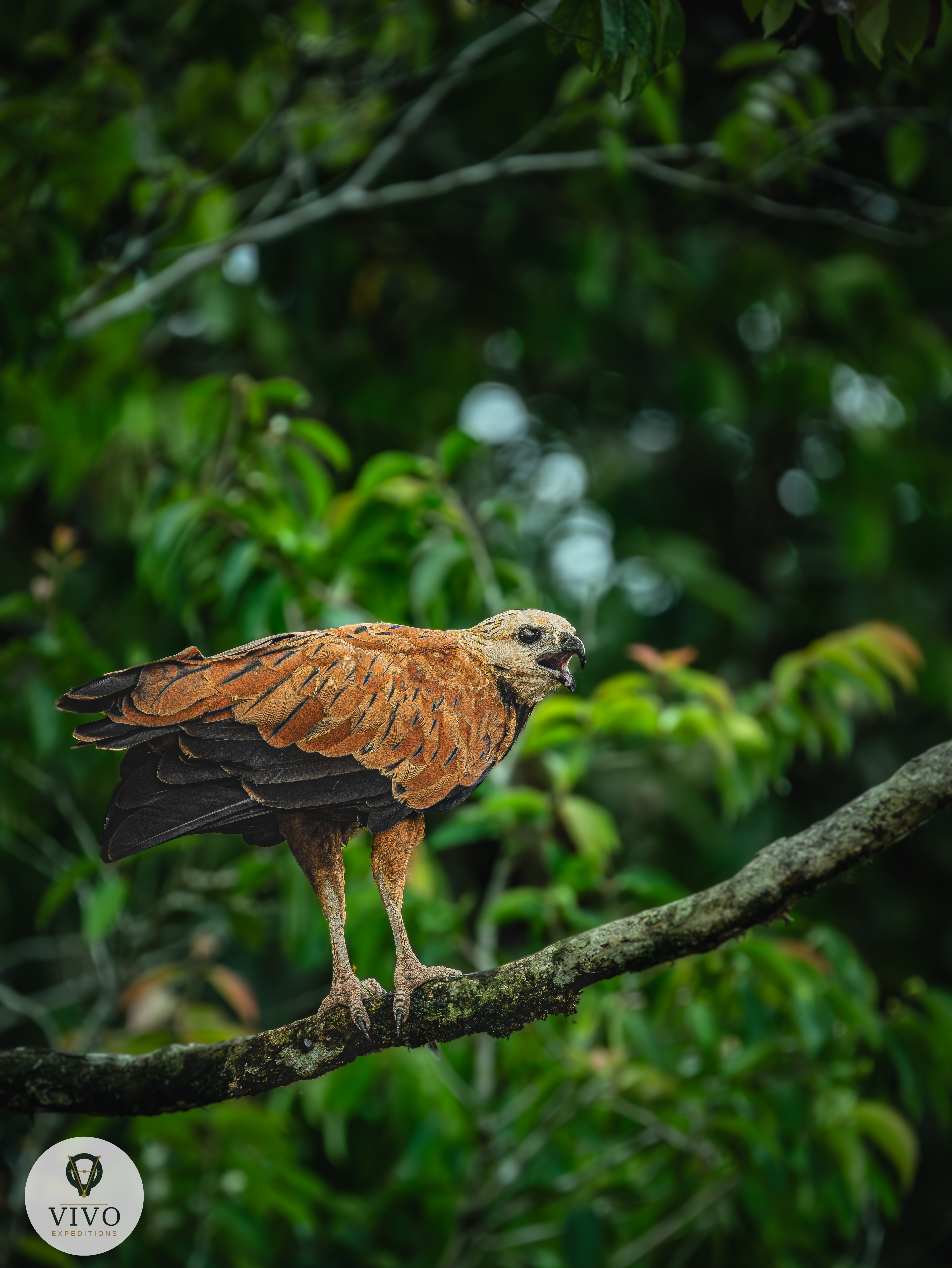 Costa Rica nature tour photo
