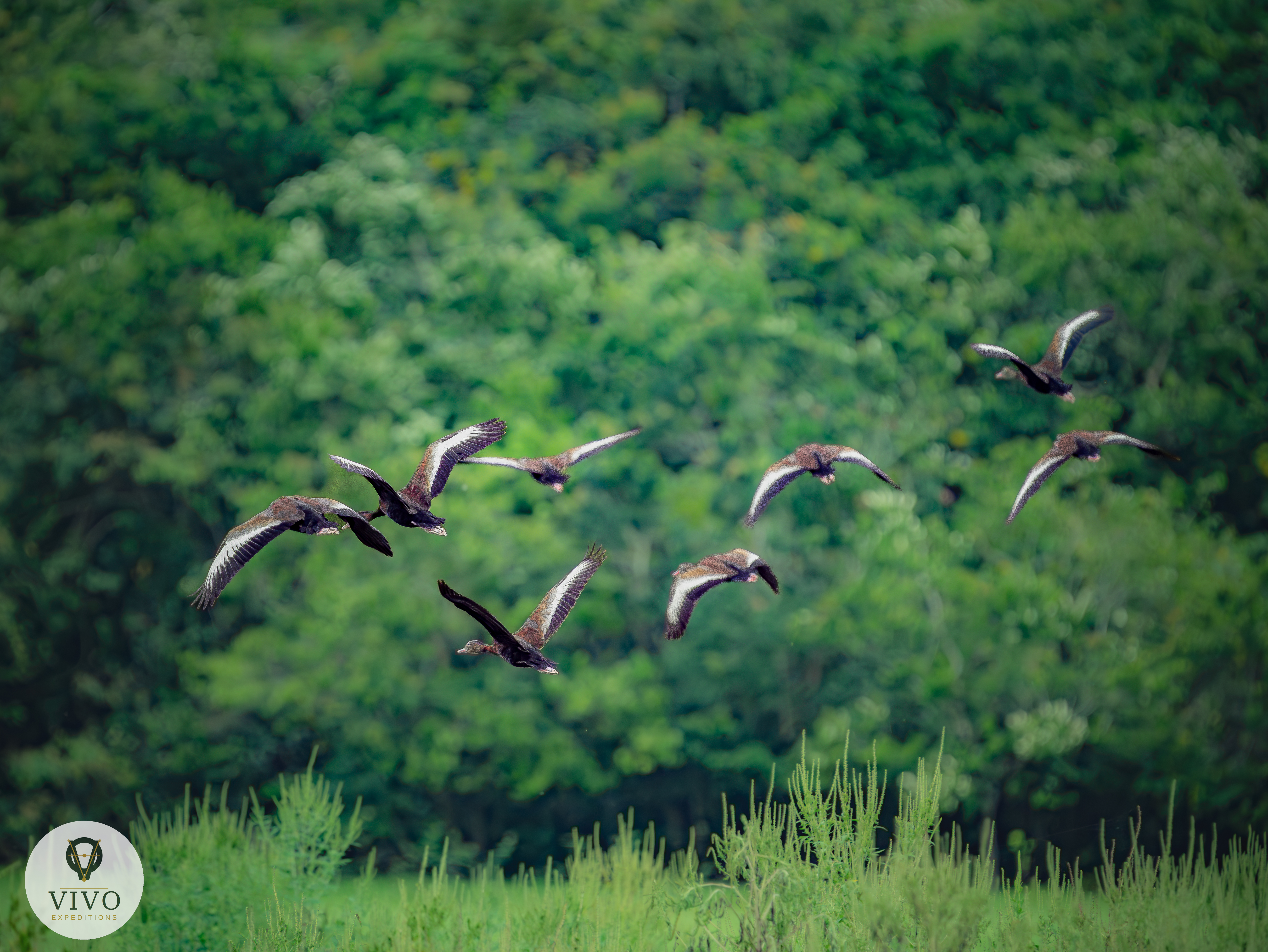 Costa Rica nature tour photo