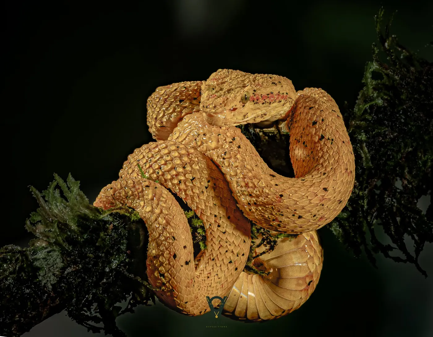 Costa Rica nature tour photo