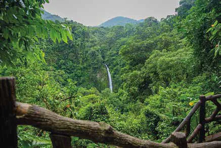 Costa Rica nature tour photo
