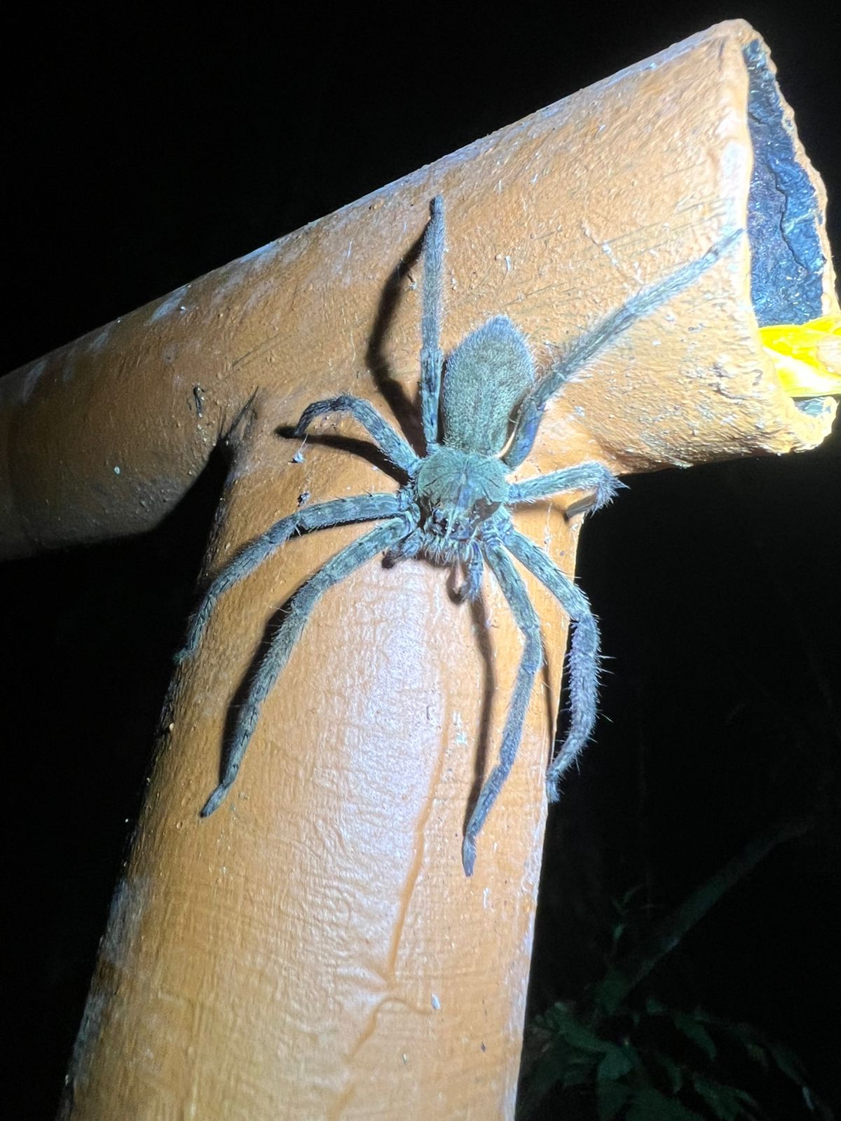 Costa Rica nature tour photo